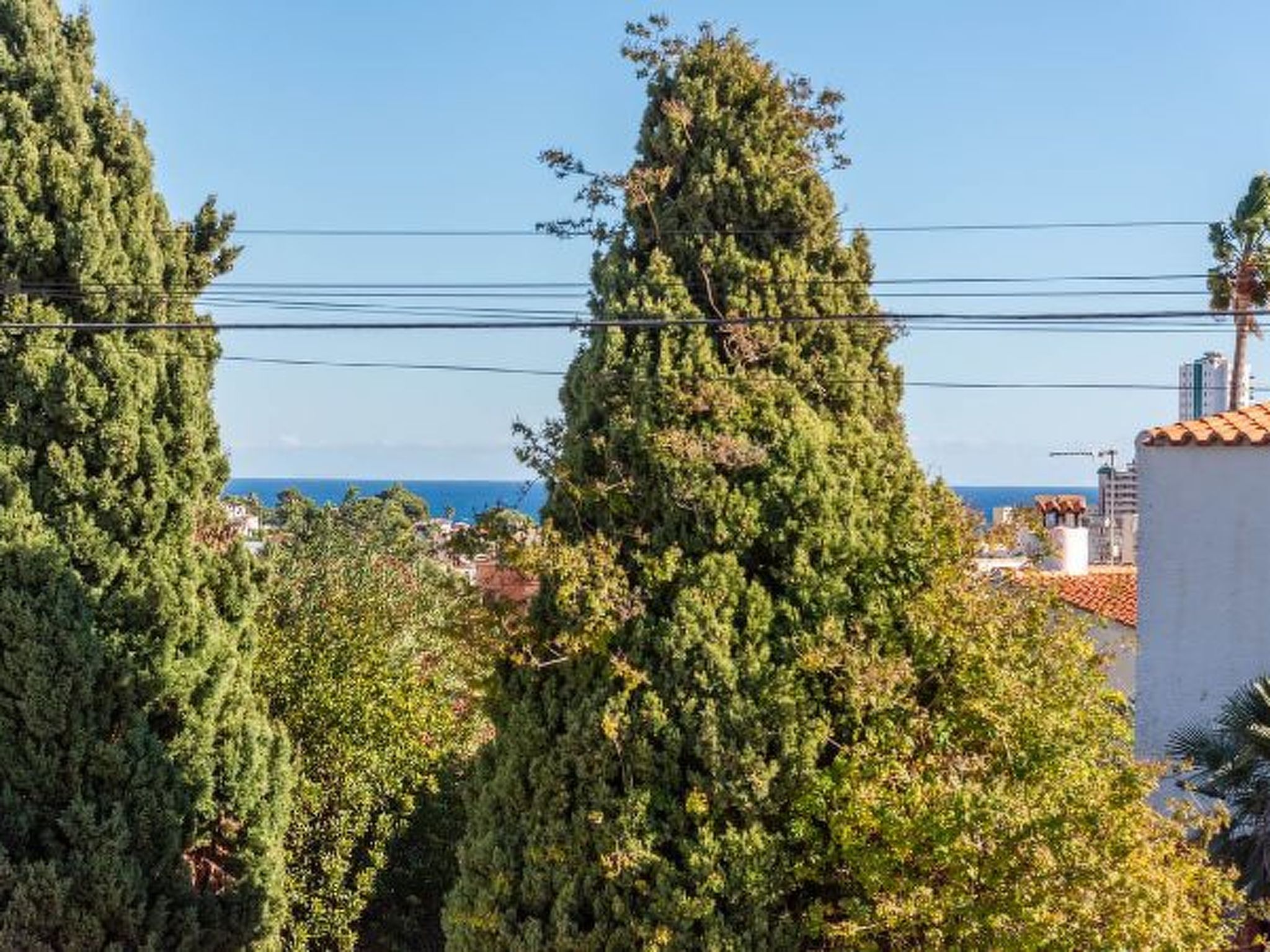 Photo of Villa K9 Ortenbach