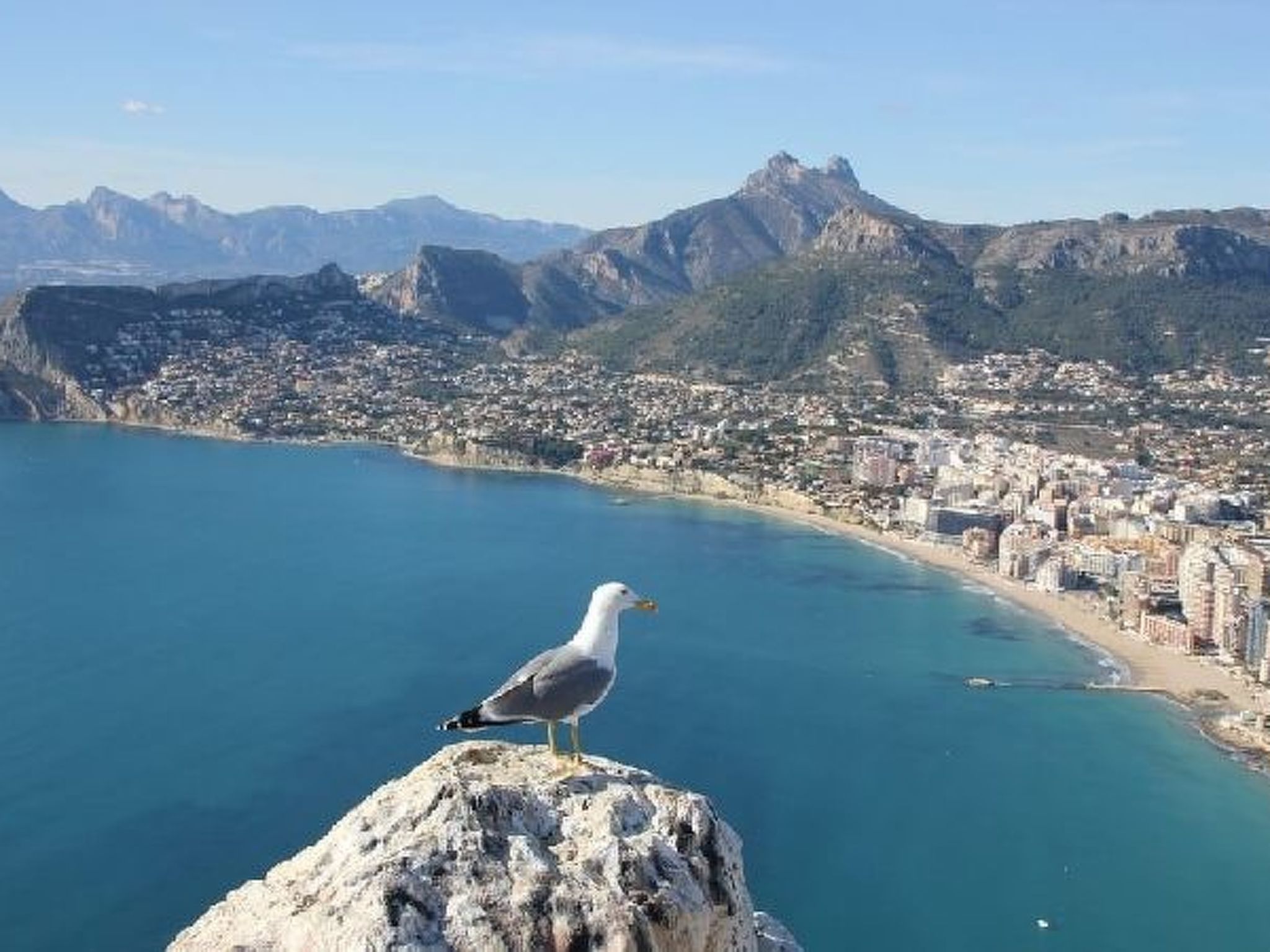 Photo of Villa Cactus - PlusHolidays