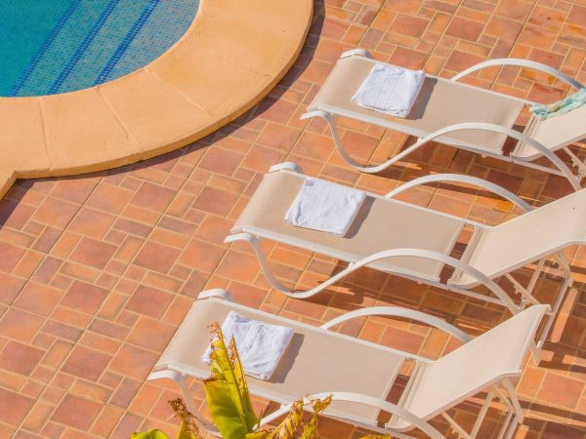 Photo of ES9730.1356.1