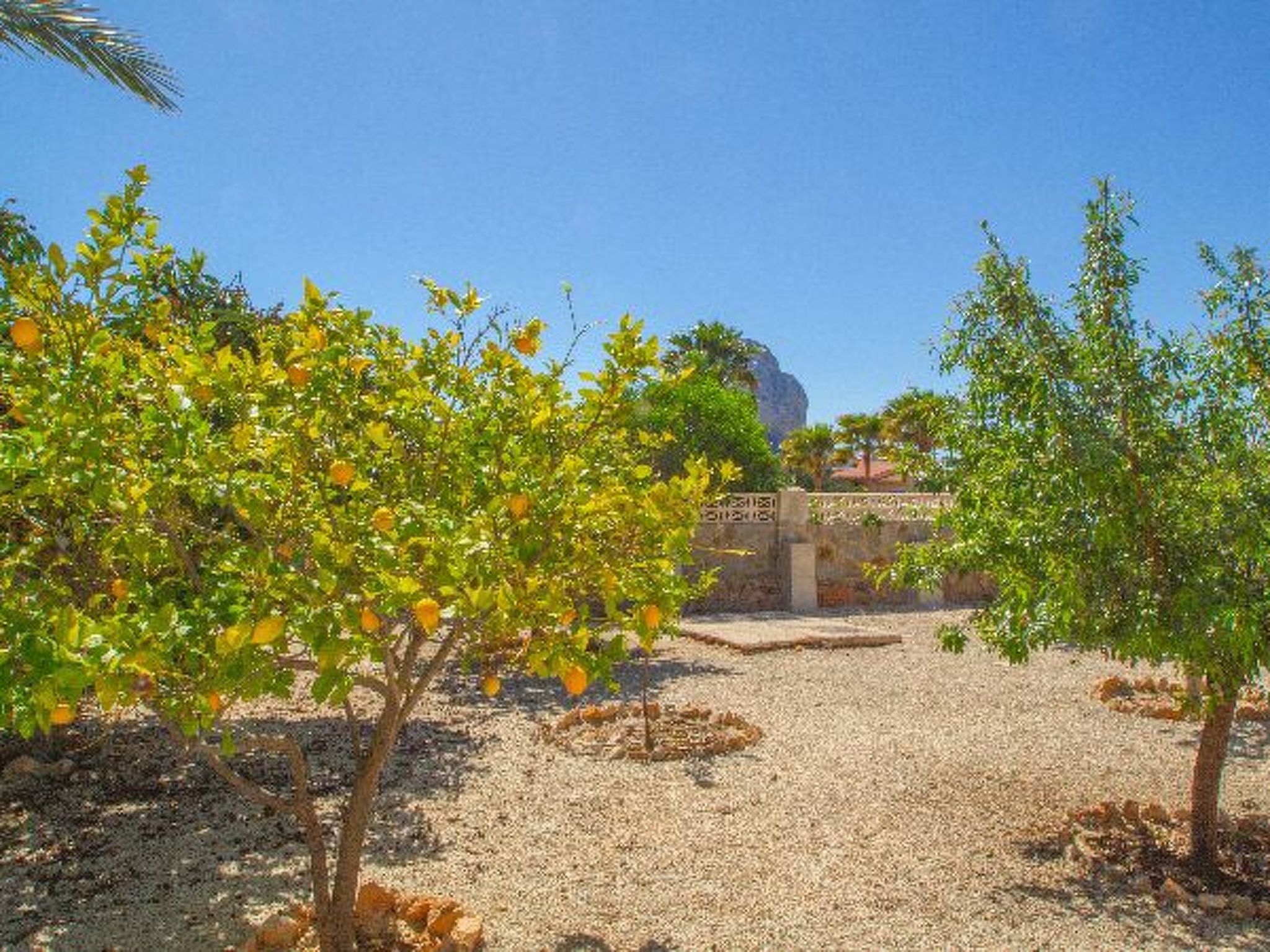 Photo of ES9730.1357.1