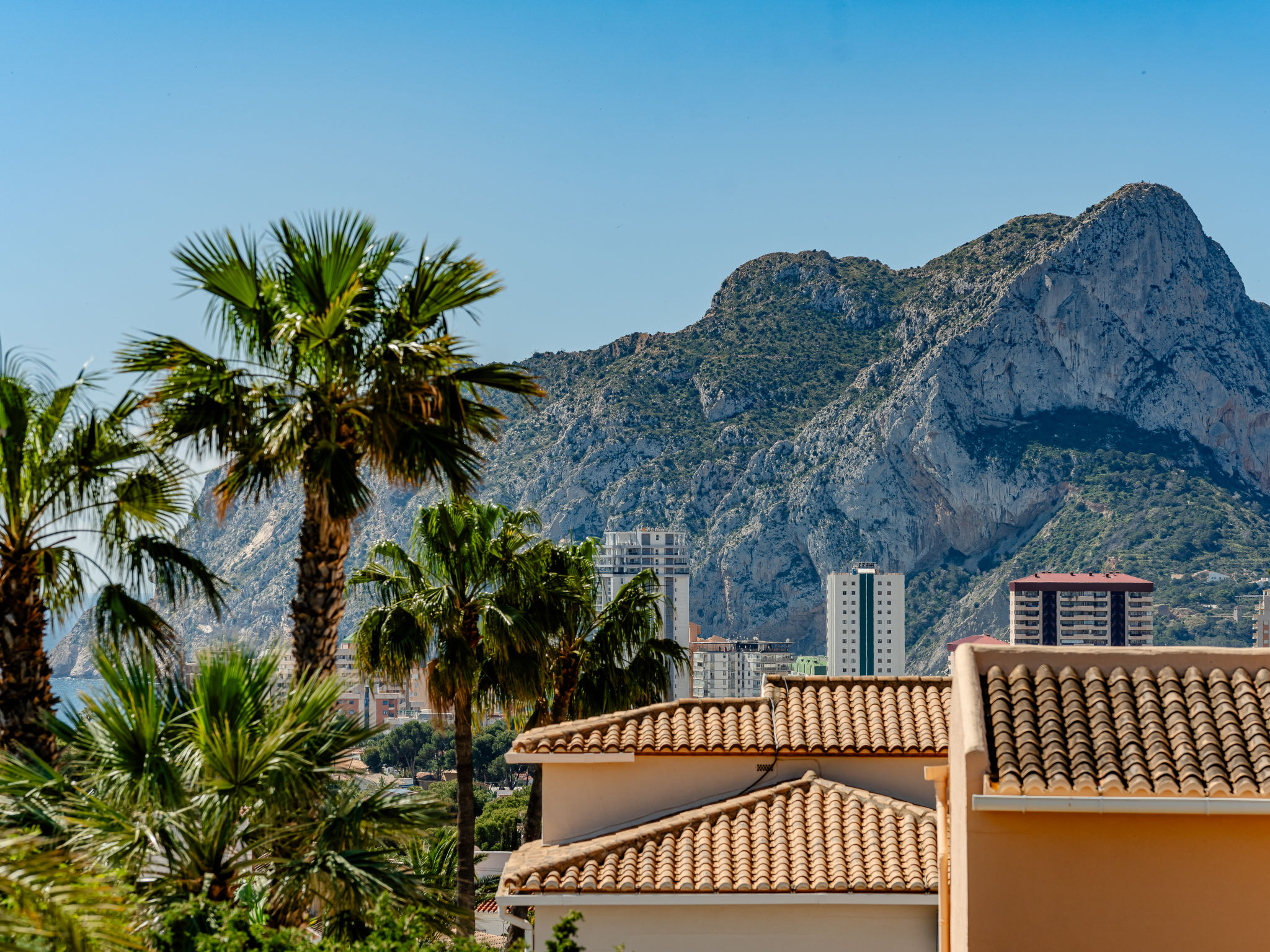 Photo of Buena Vista