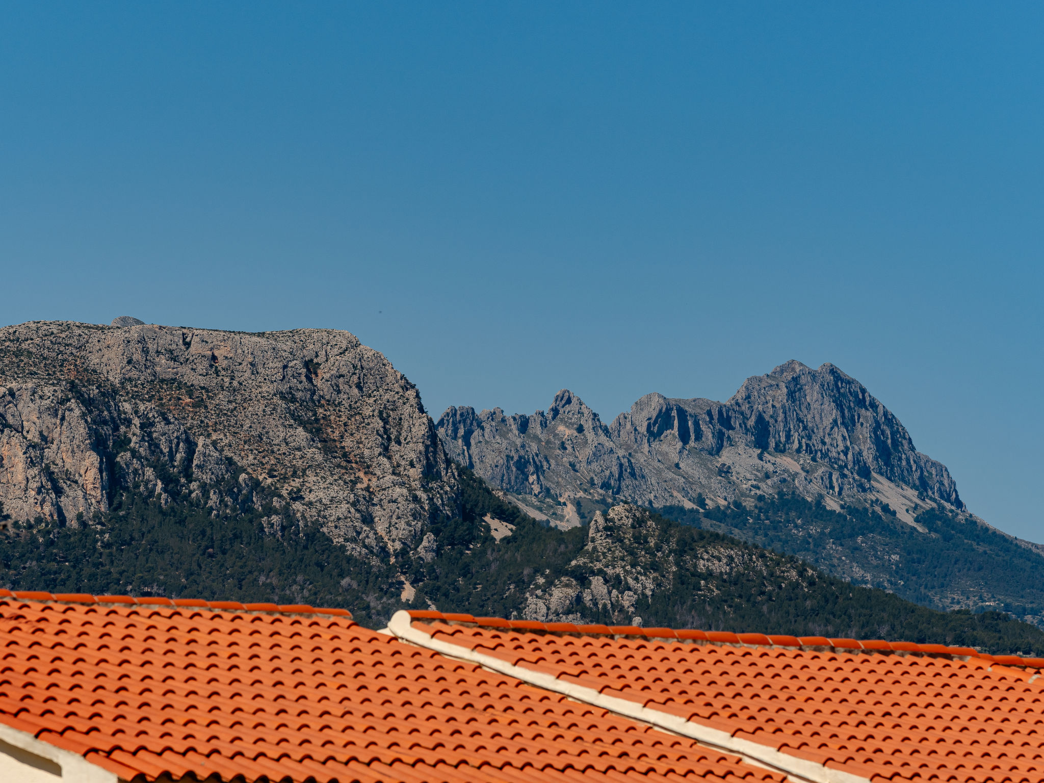 Photo of Buena Vista