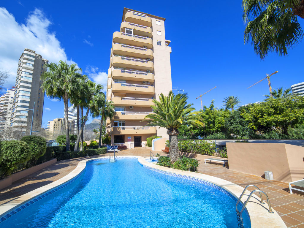 Appartement Oasis