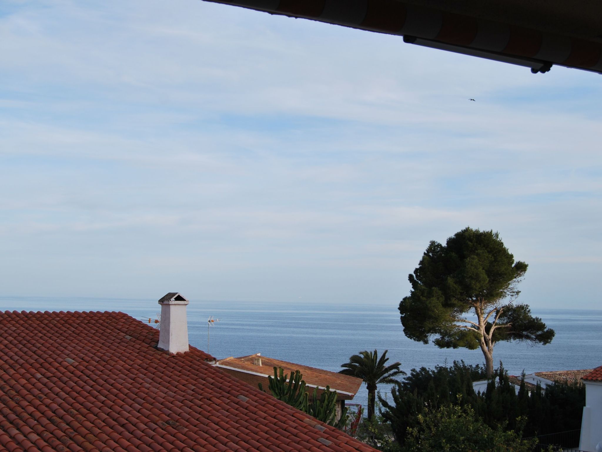 Fabiola mit toller Aussicht-Binnen