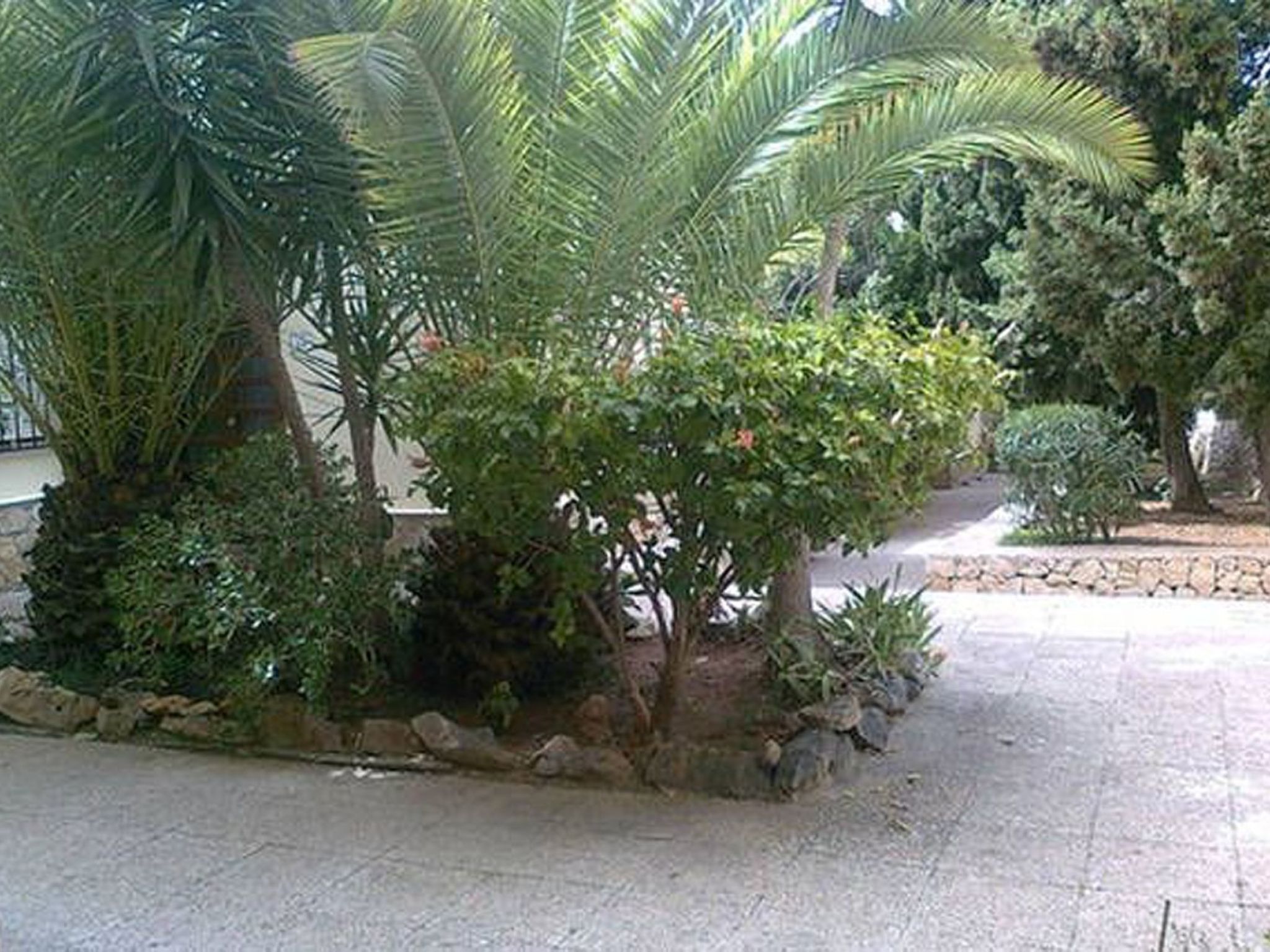 Photo of Fabiola mit toller Aussicht