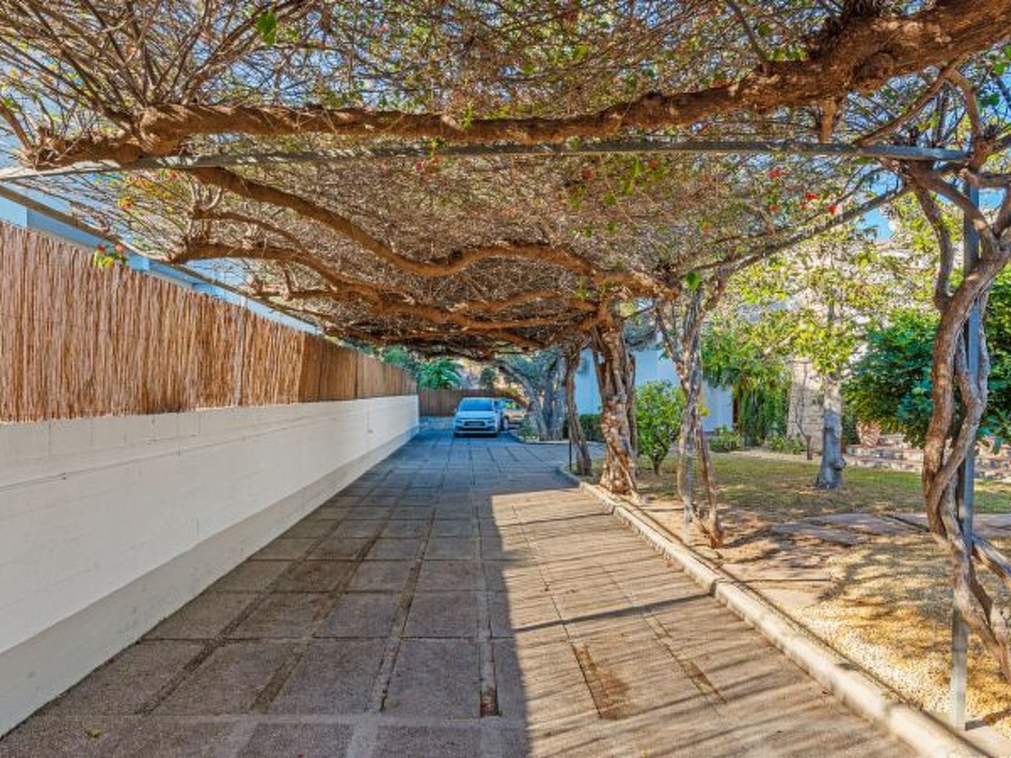 Photo of Villa Tropical - Plusholidays