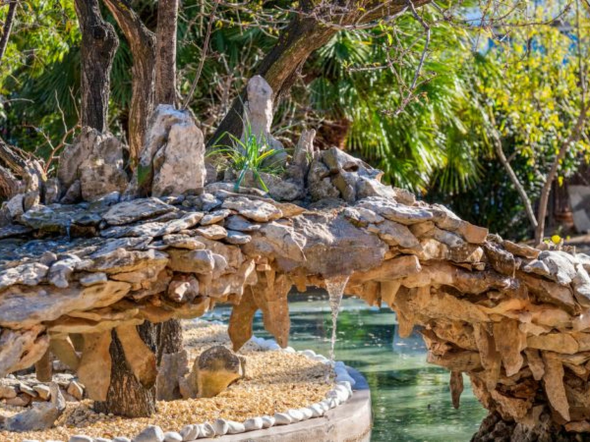 Photo of Villa Tropical - Plusholidays