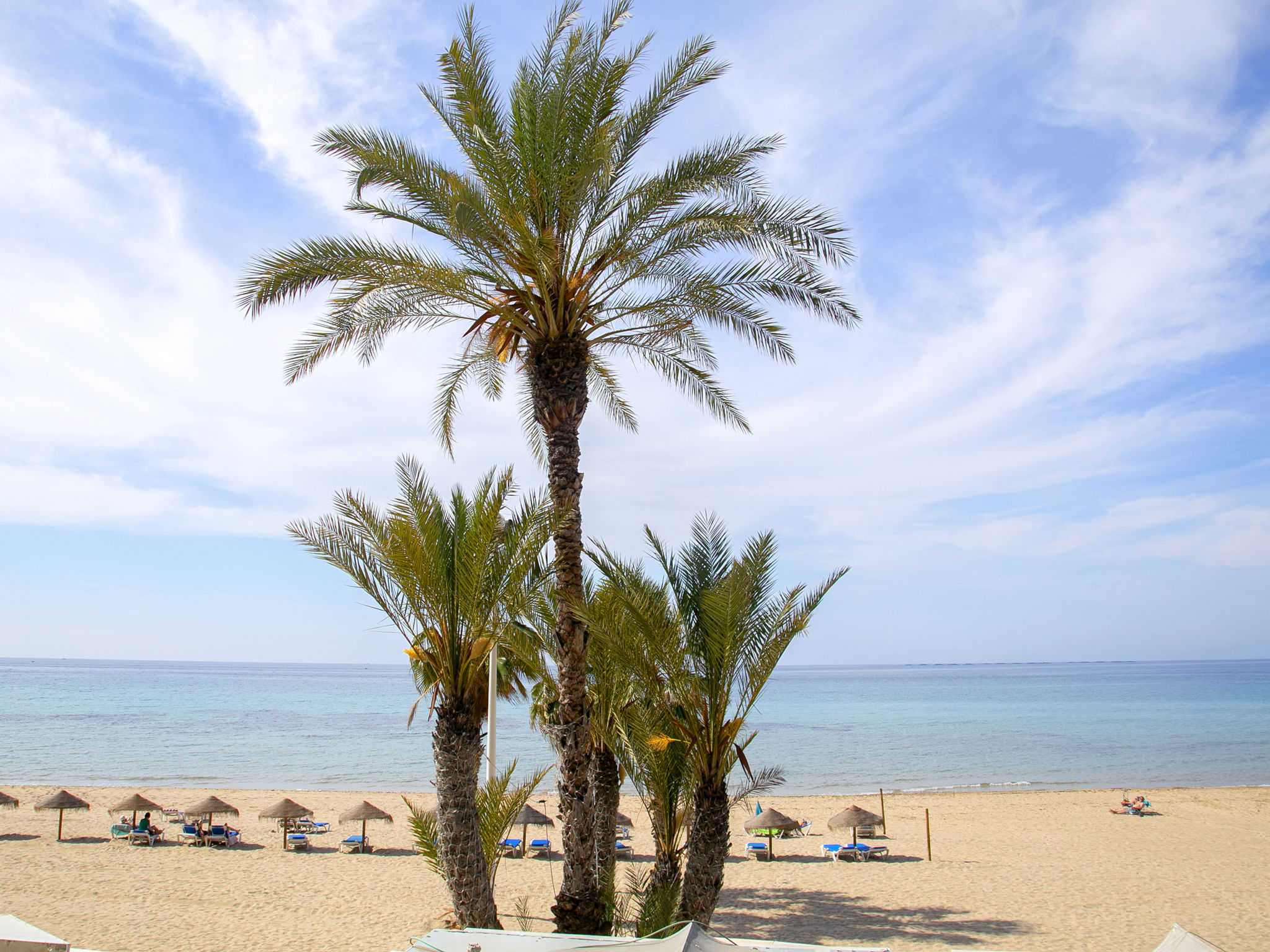 Photo of Calpemar 04