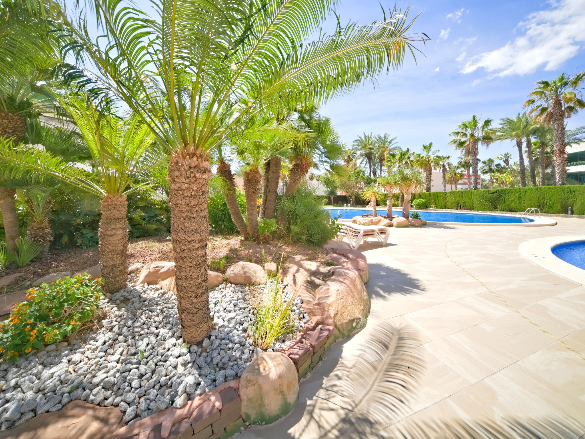 Photo of Coral Beach 02