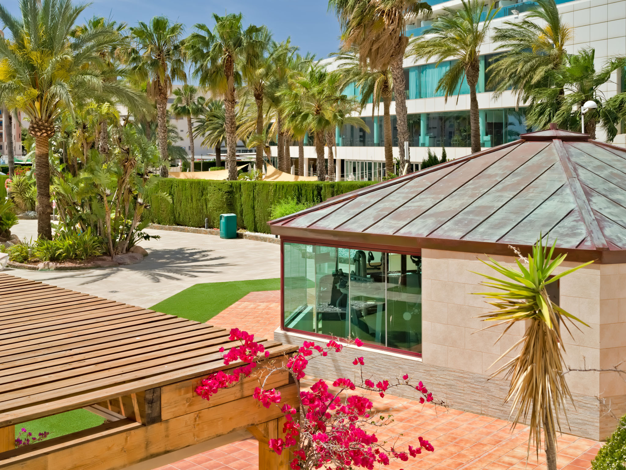 Photo of Coral Beach 02