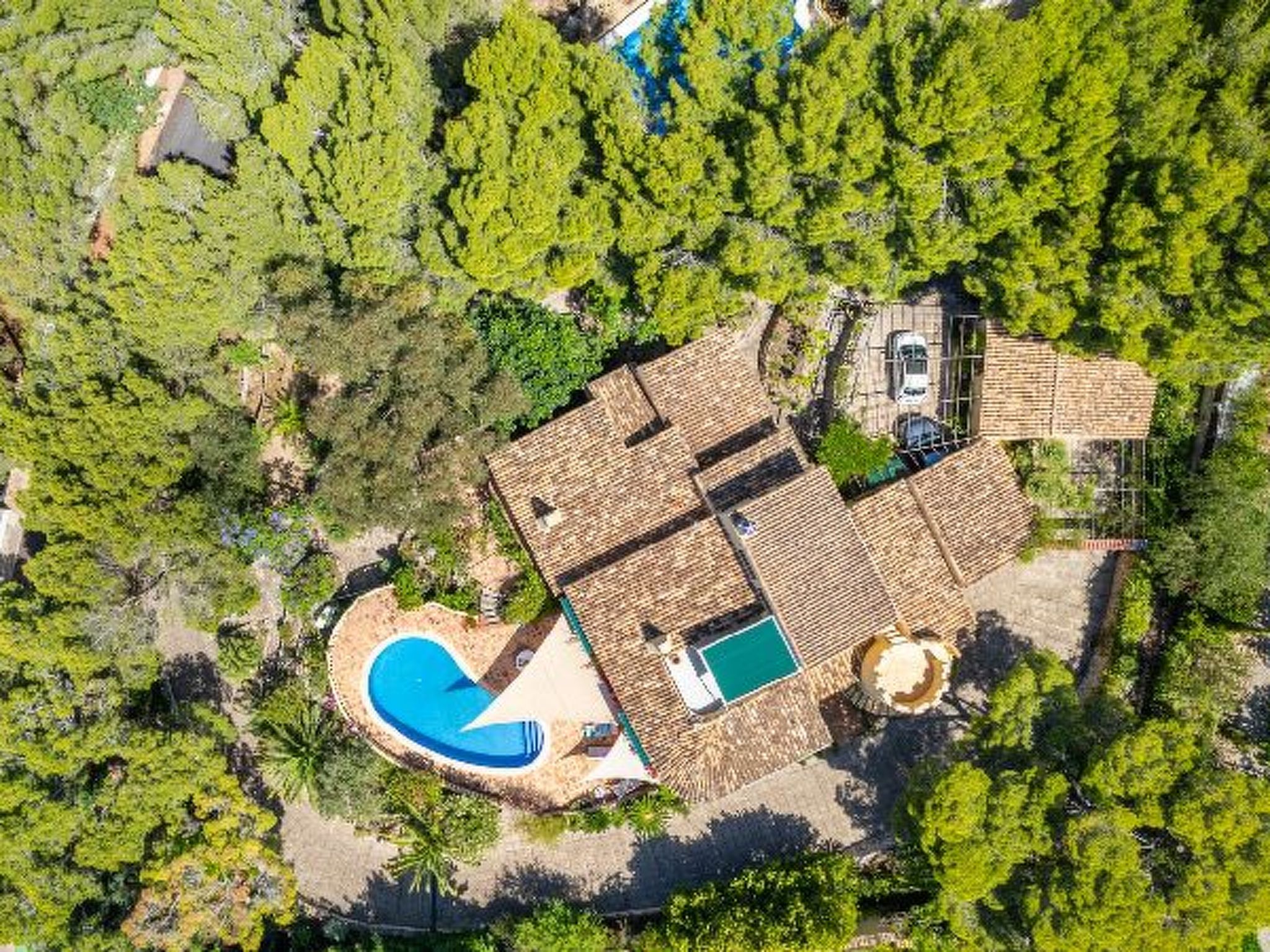 Photo of Villa Rosa 5 - PlusHolidays