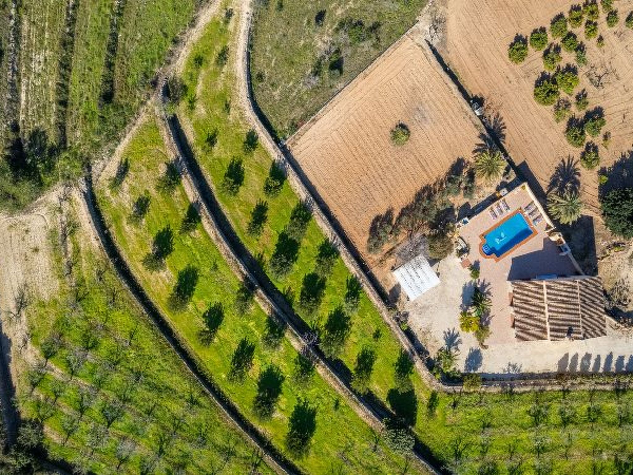 Villa Palomira - Plusholidays - Image-tags.info