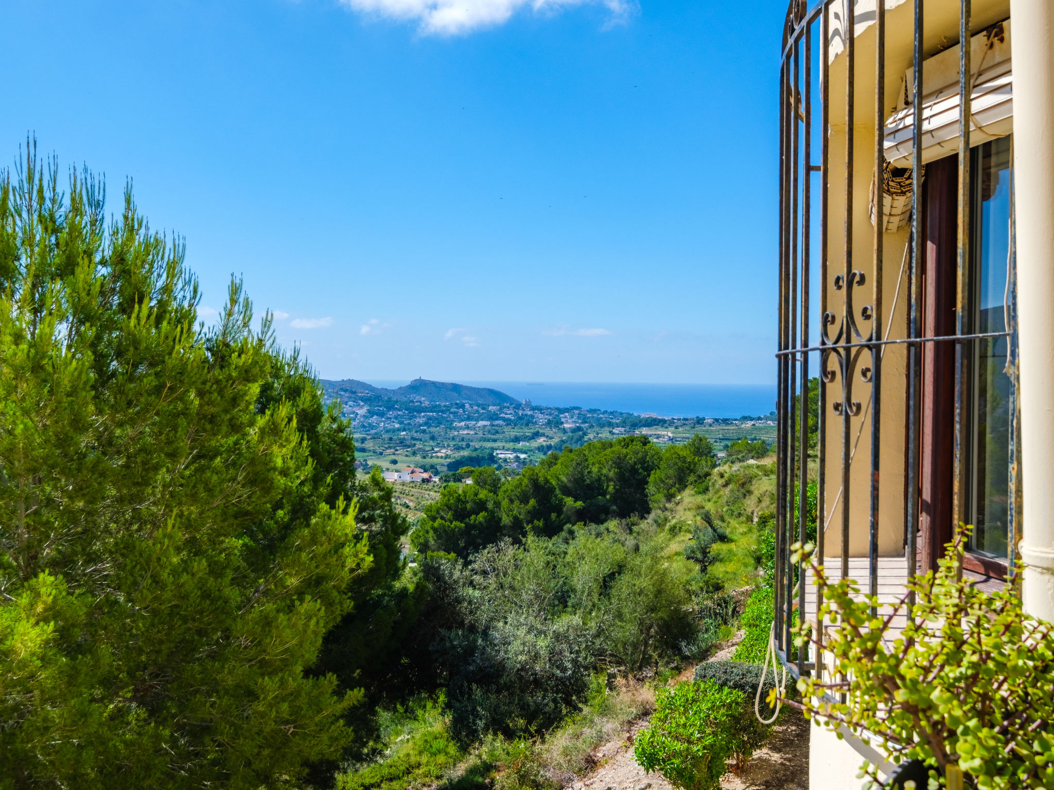 Photo of Castellons Vida