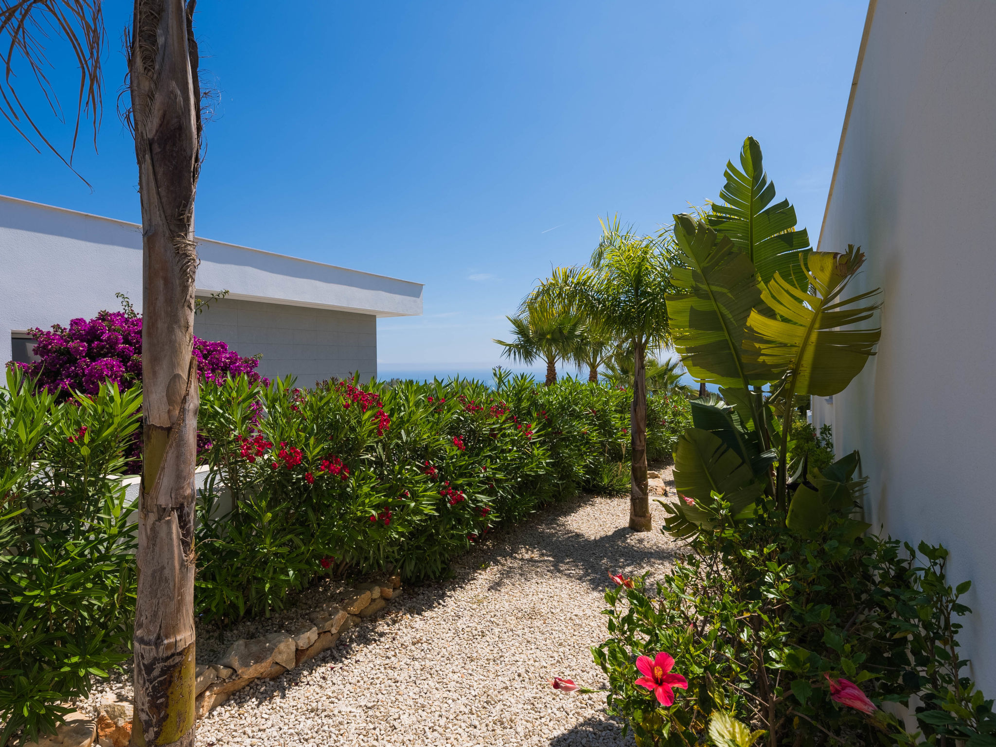 Photo of Lirios View