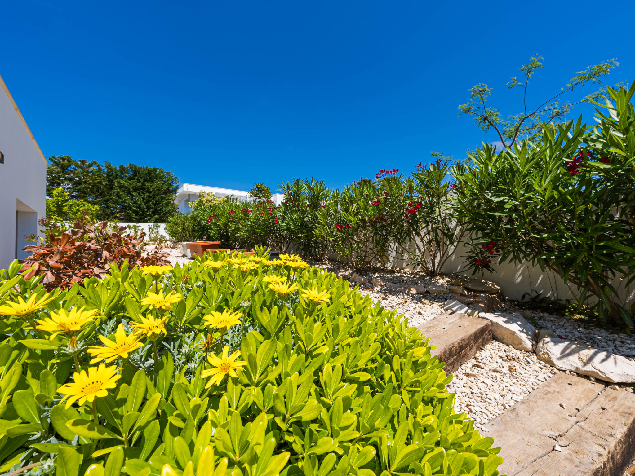 Photo of Lirios View