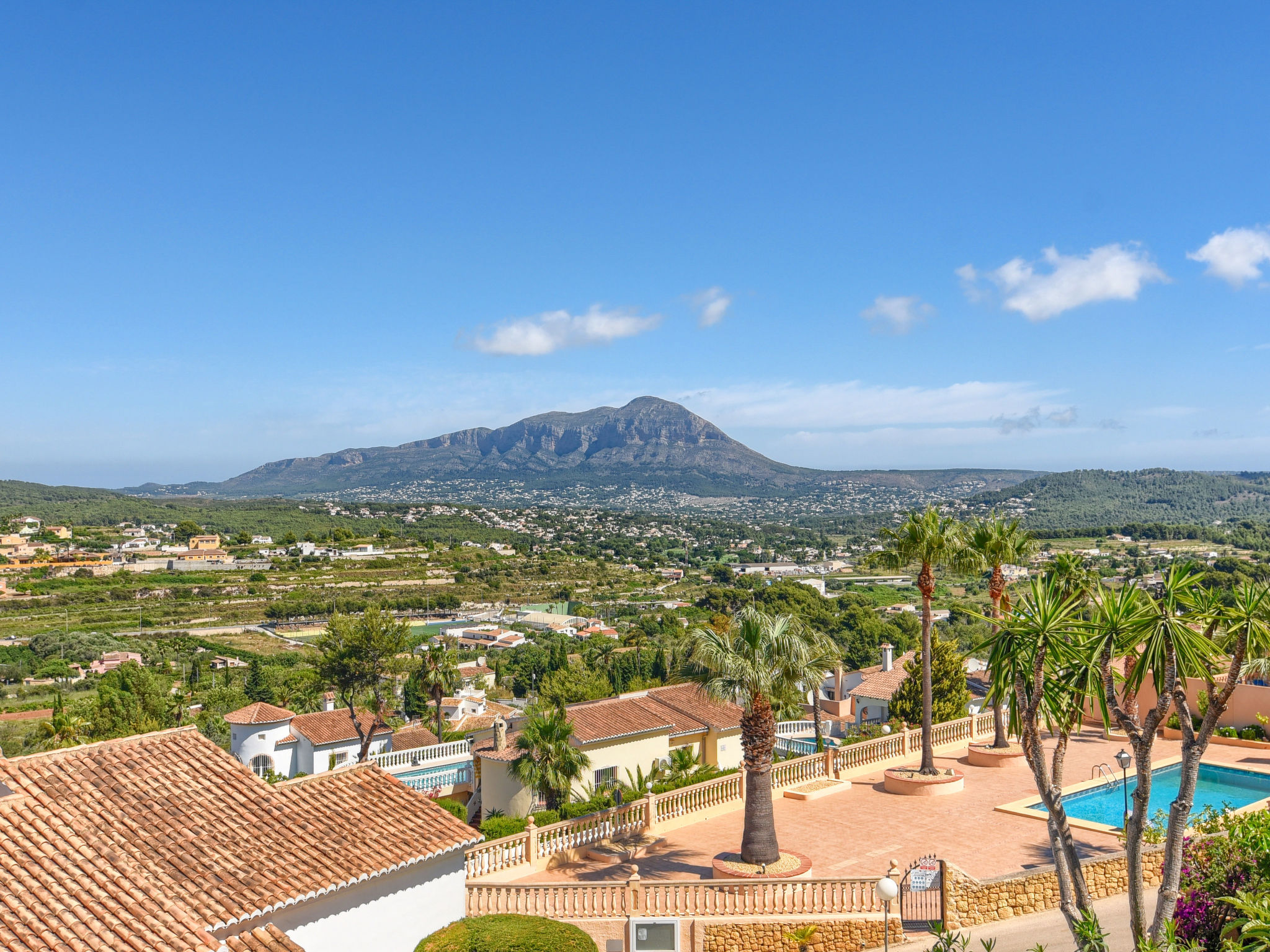 Photo of Las Mimosas