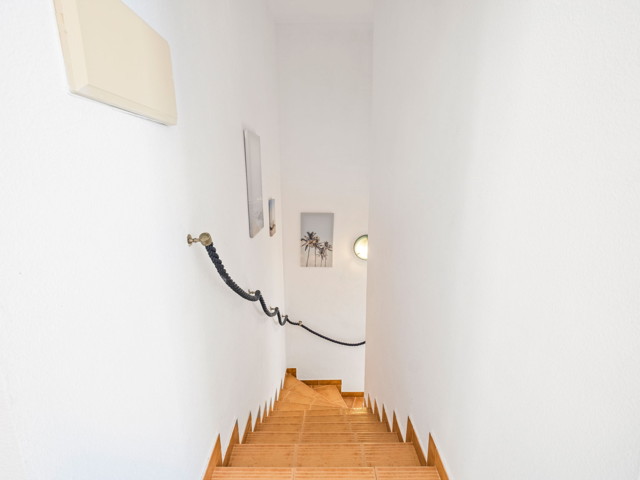 Photo of Las Mimosas