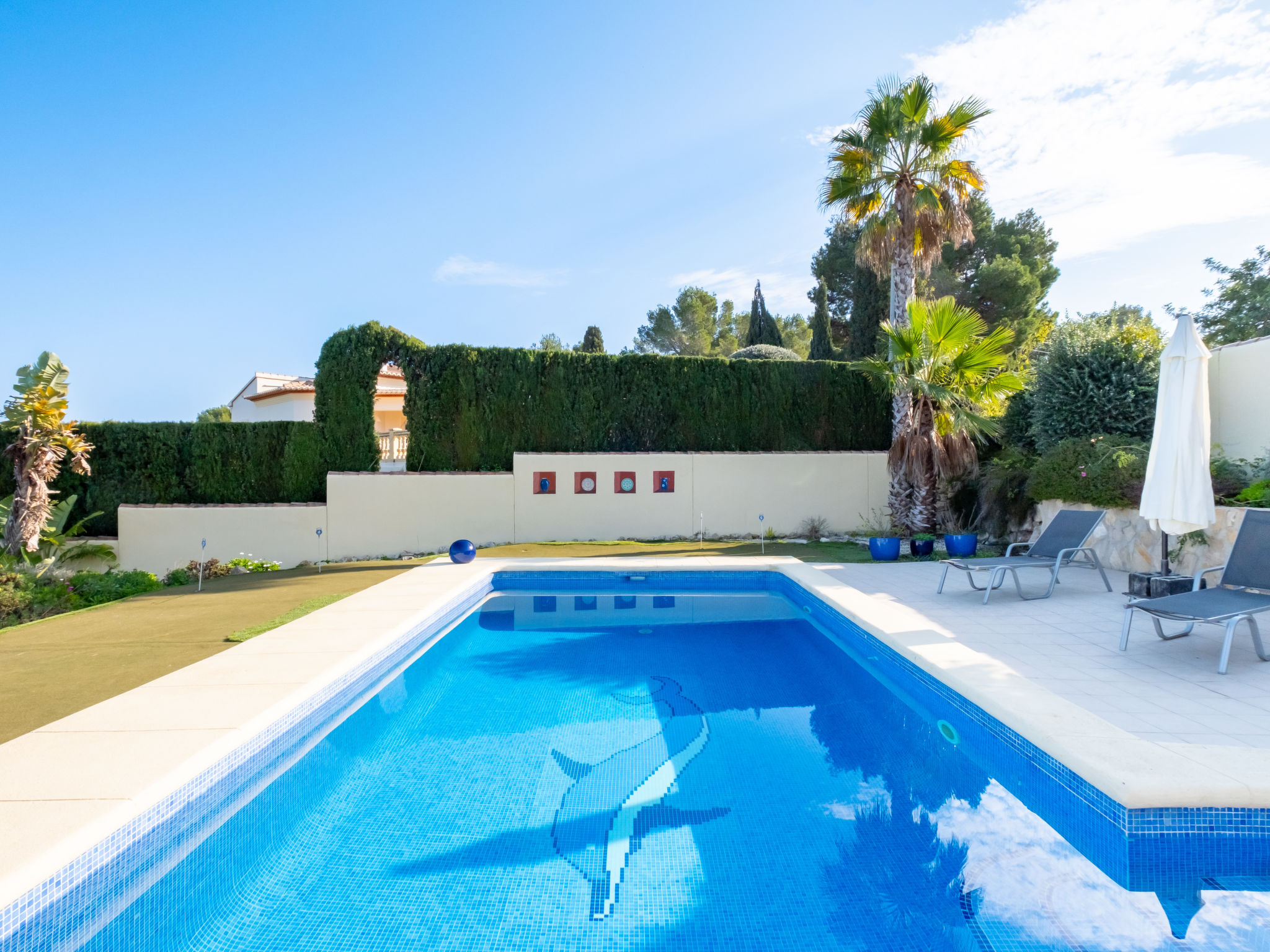 Photo of Pluma Ligera