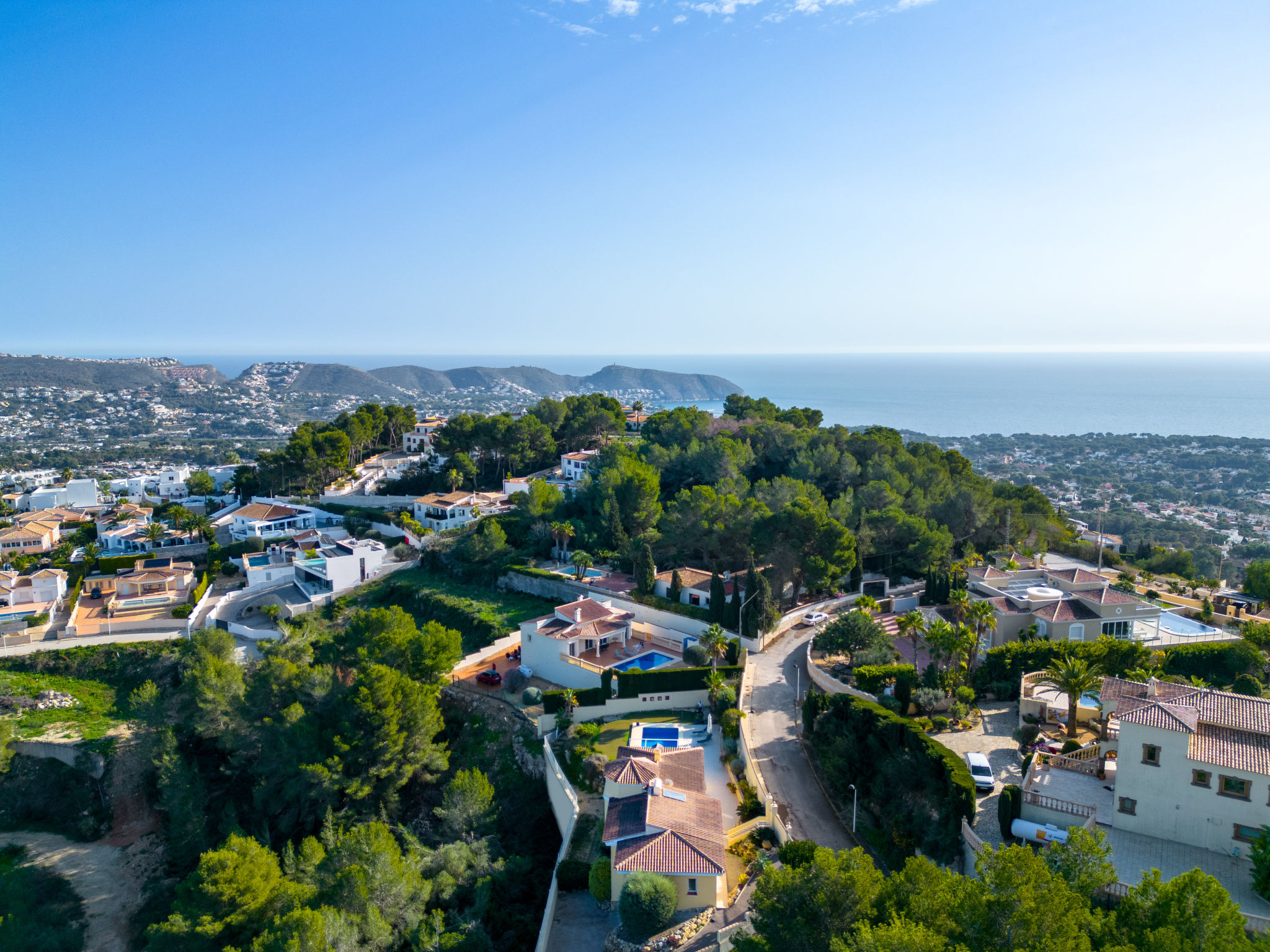 Photo of Pluma Ligera