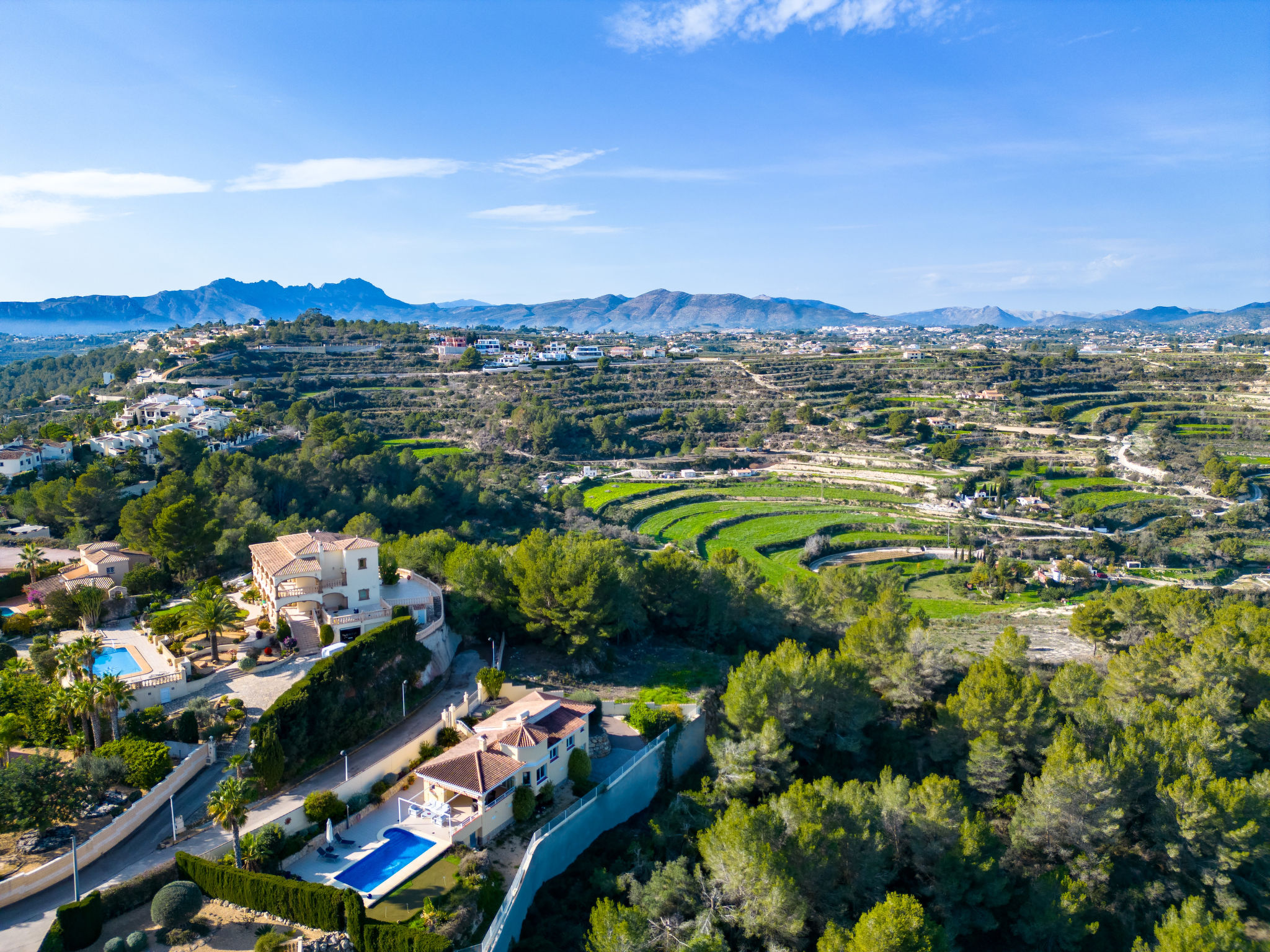 Photo of Pluma Ligera