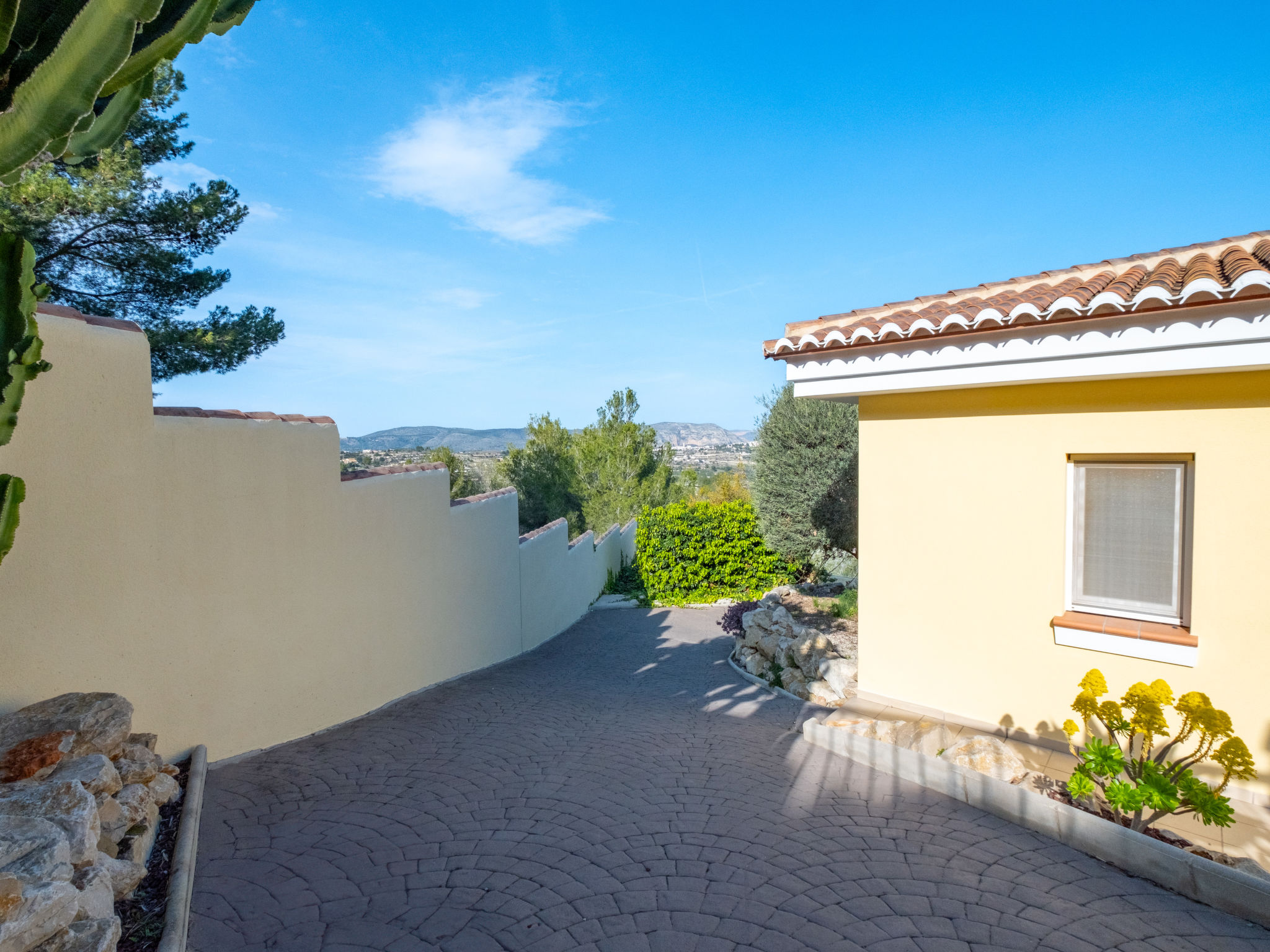 Photo of Pluma Ligera