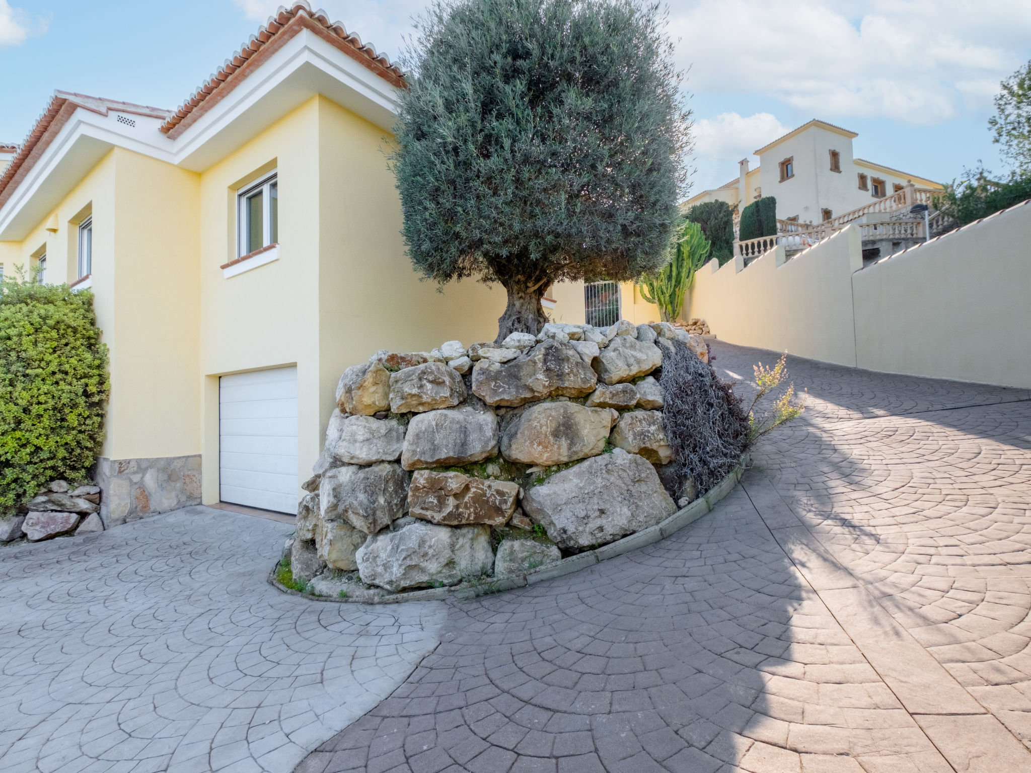 Photo of Pluma Ligera