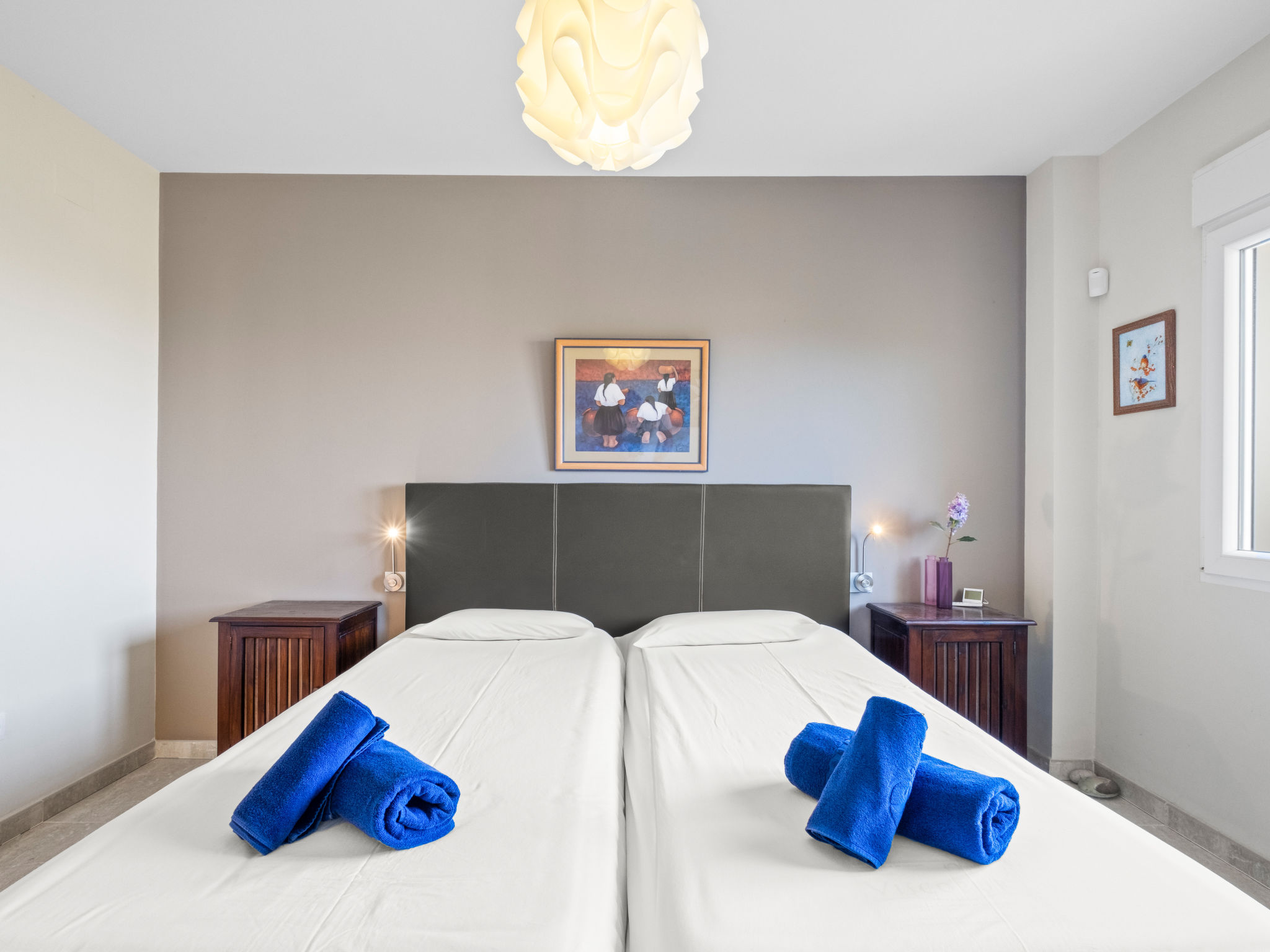 Photo of Pluma Ligera