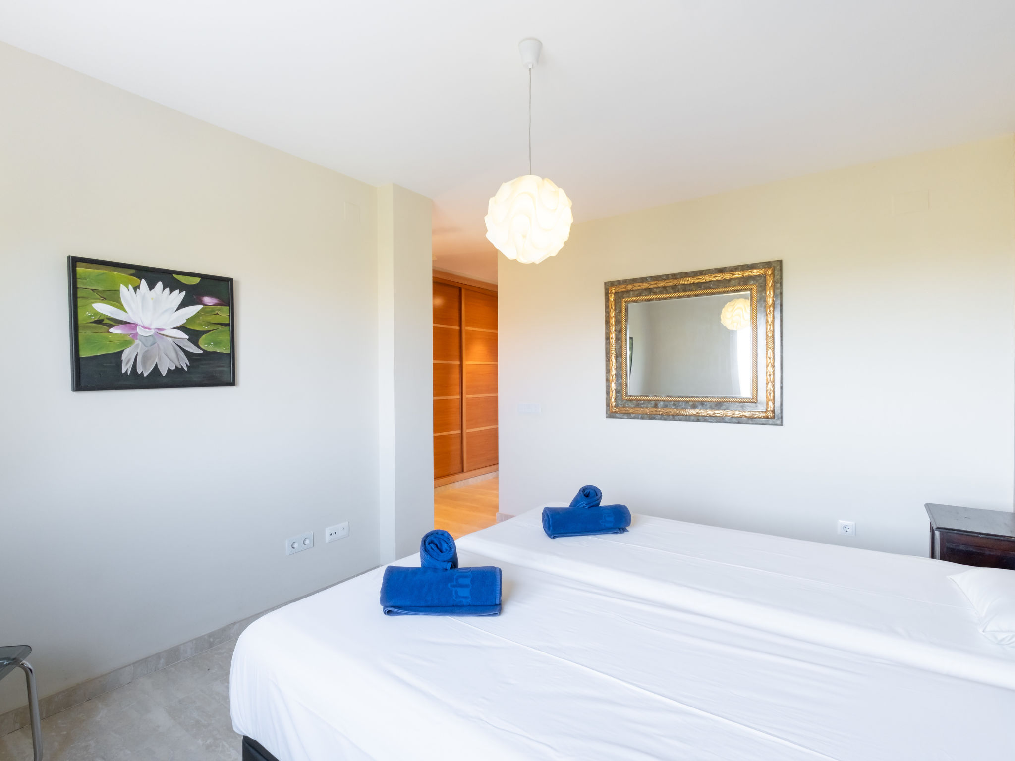 Photo of Pluma Ligera