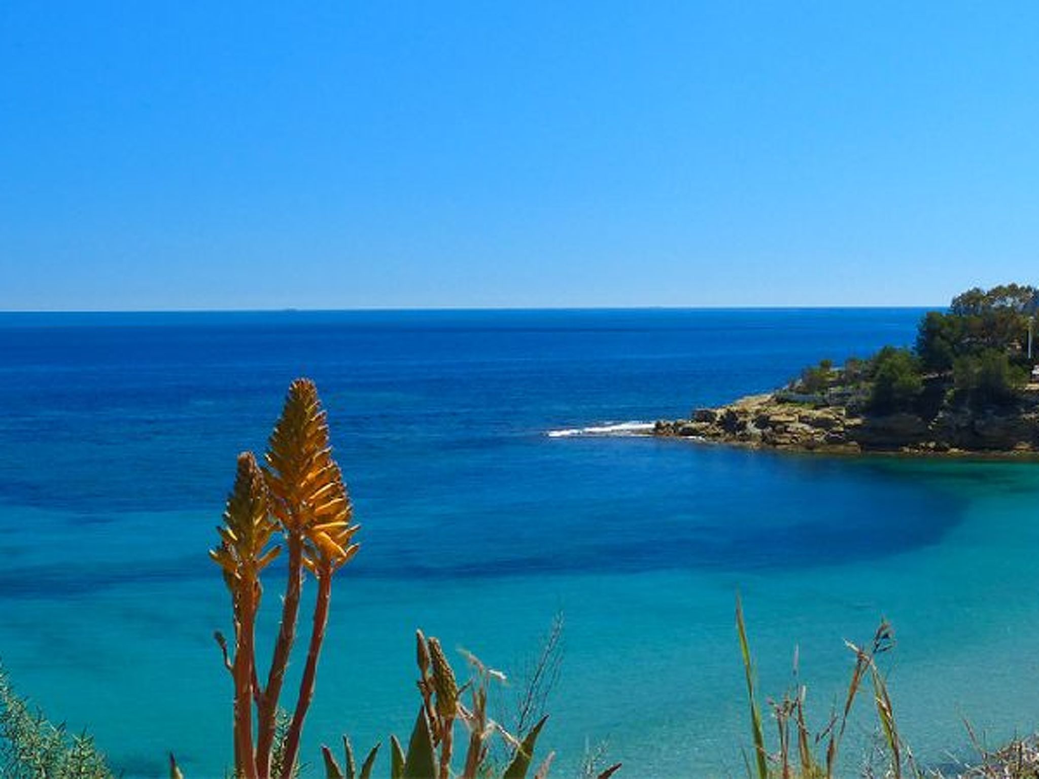 Photo of Villa Malibu - PlusHolidays