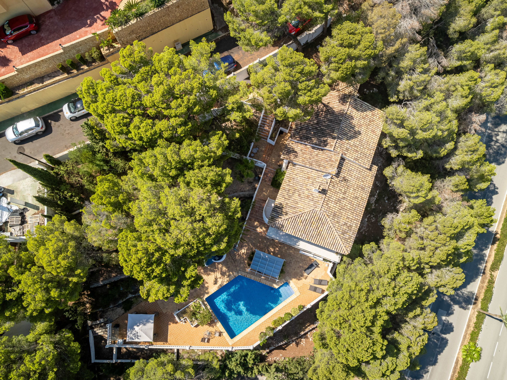 Photo of Preciados