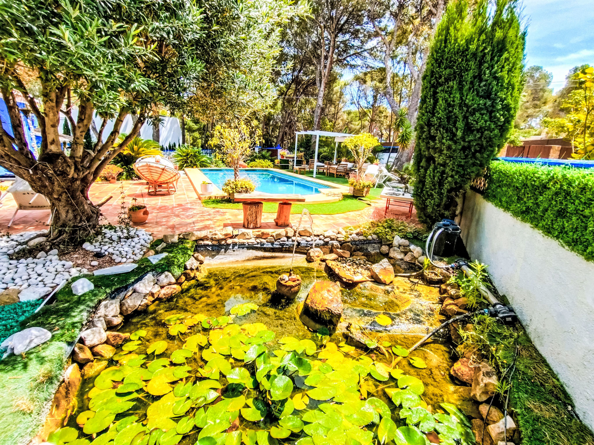 Photo of Jardín