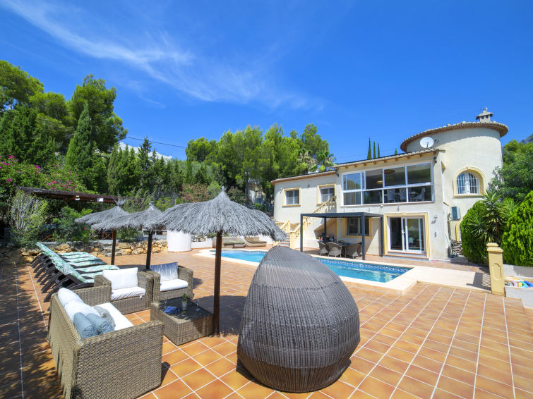 Gekko - Altea
