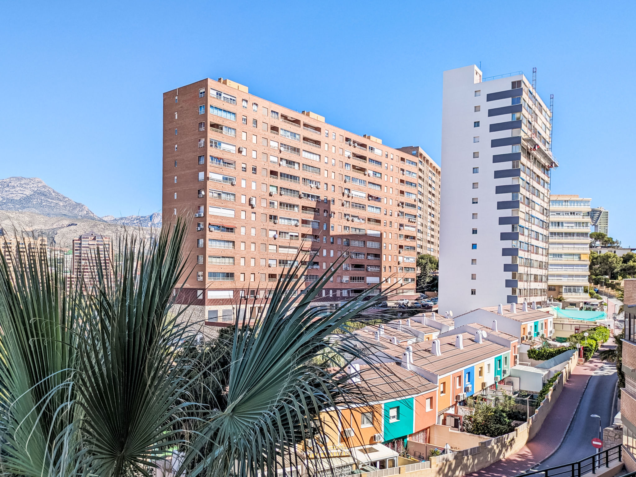 Photo of Don Miguel III