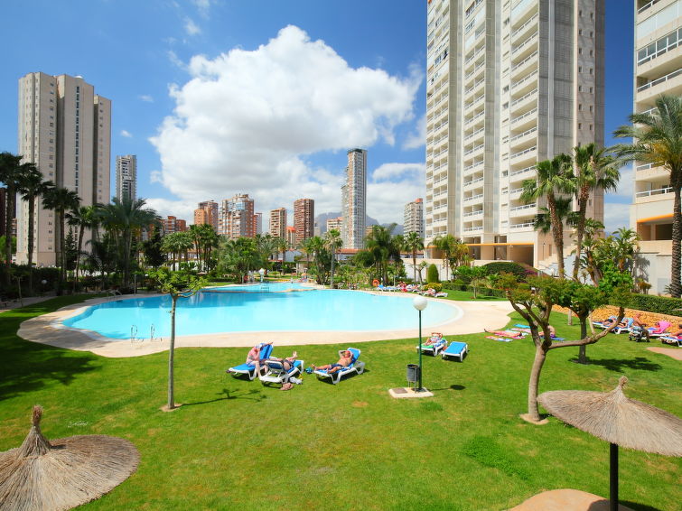 Appartement met binnenzwembad in Benidorm voor 5 personen in Benidorm