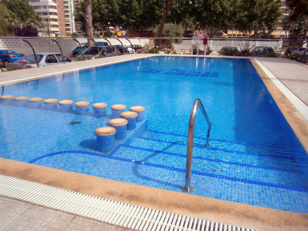 Las Damas — Pool Outdoor