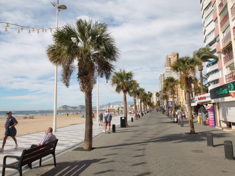 Photo of Las Damas Playa Levante