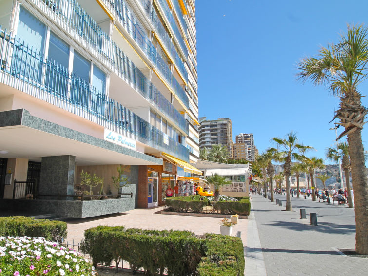 Photo of Palmeras Playa Levante First Line