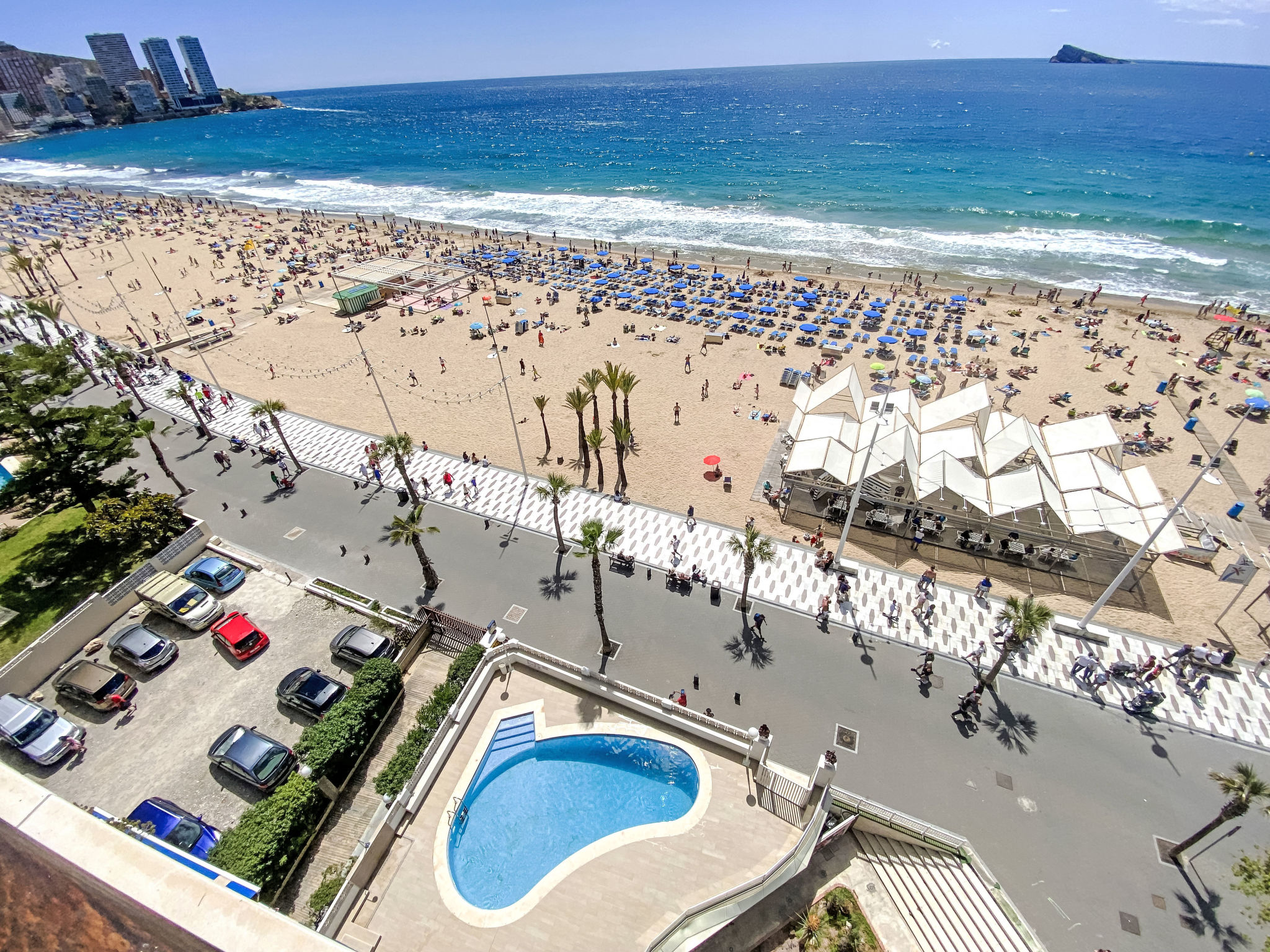 Photo of Estacha del mar