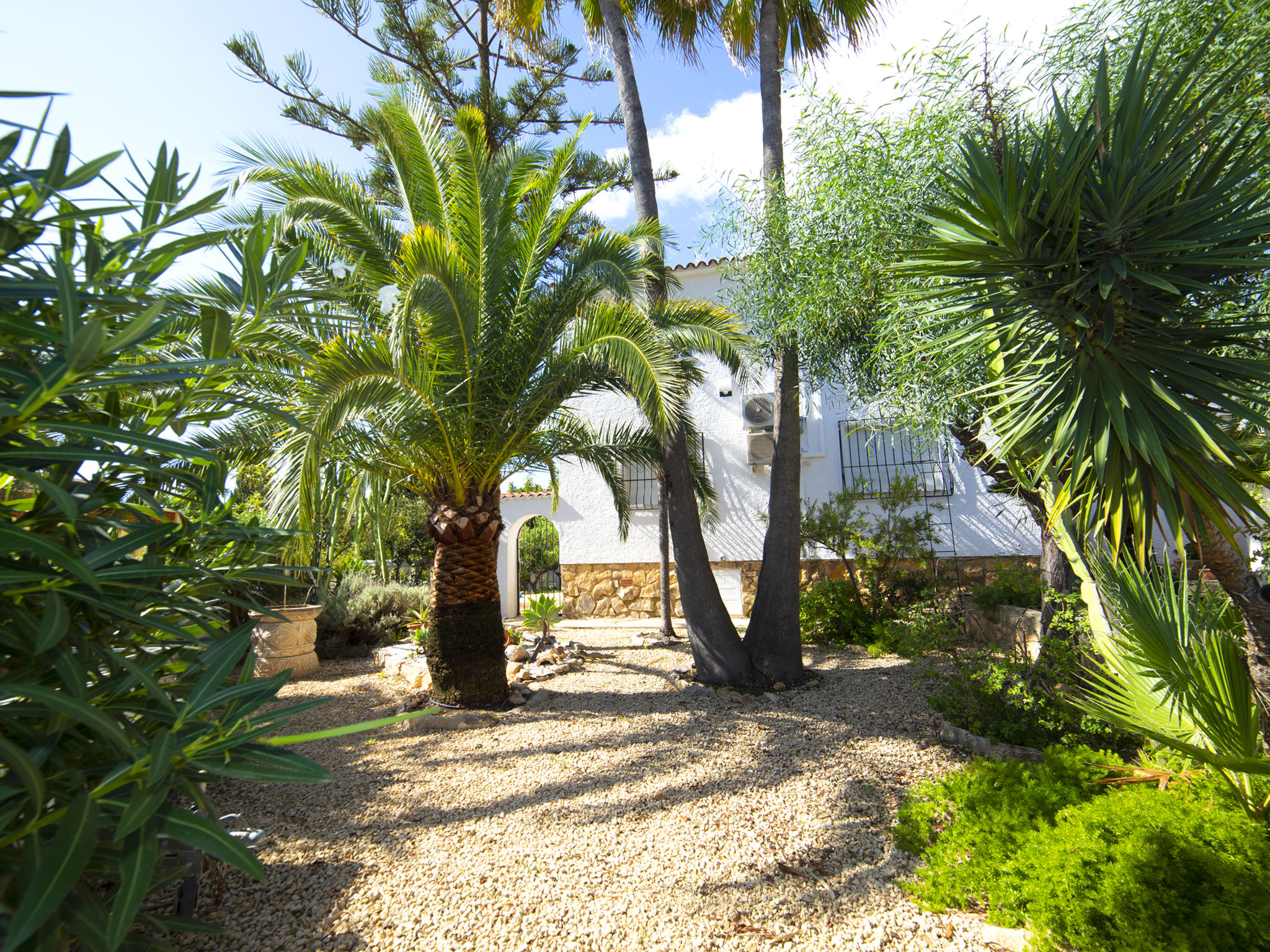 Photo of De las Rosas