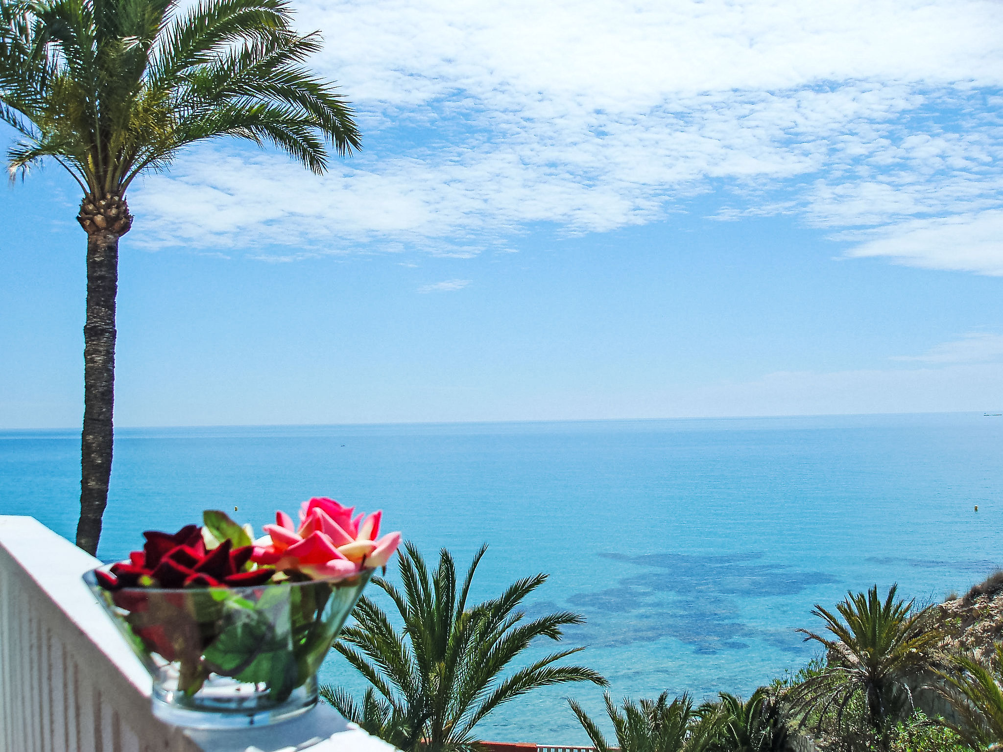 Parque Amerador-Buiten