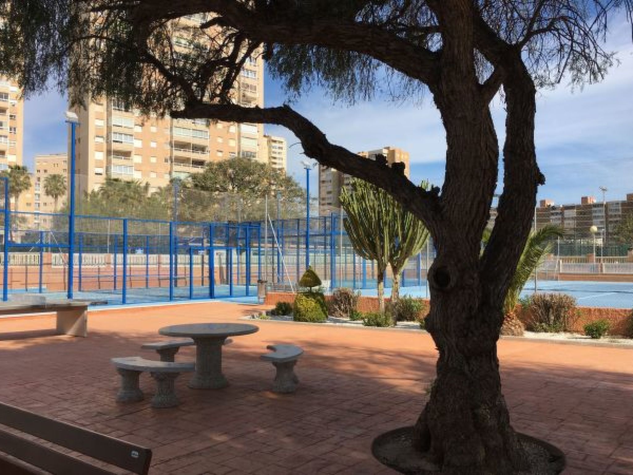 ESTUDIO PLAYA MUCHAVISTA - Image-tags.info