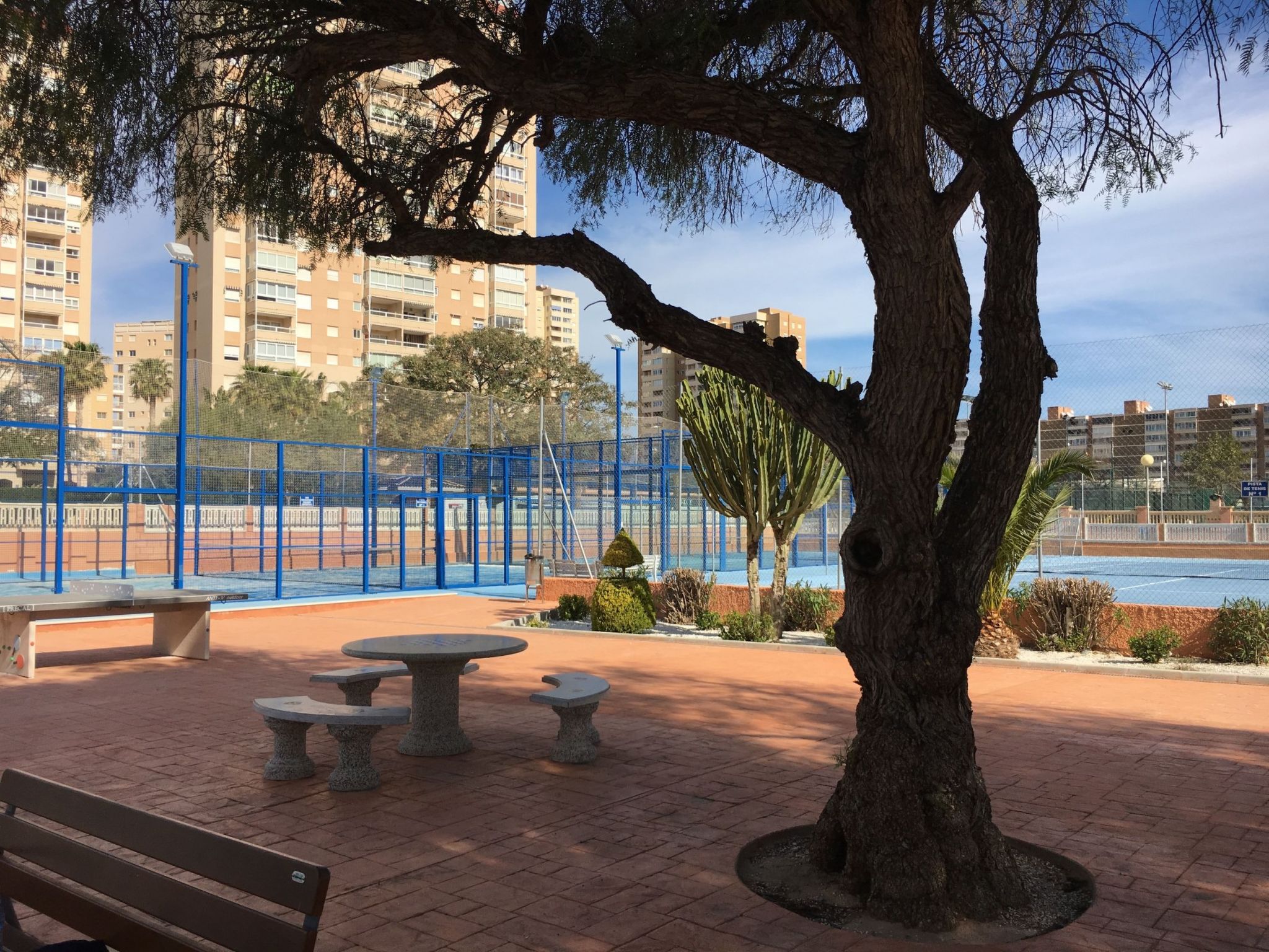 ESTUDIO PLAYA MUCHAVISTA — House (4 of 34)