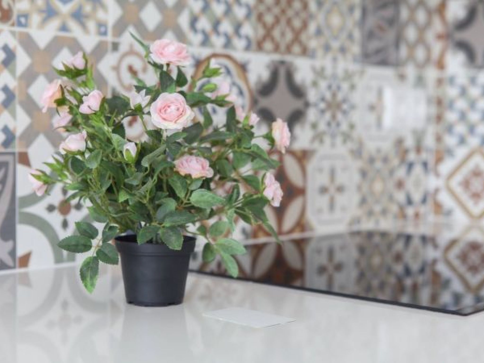 Photo of ESTUDIO PLAYA POSTIGUET