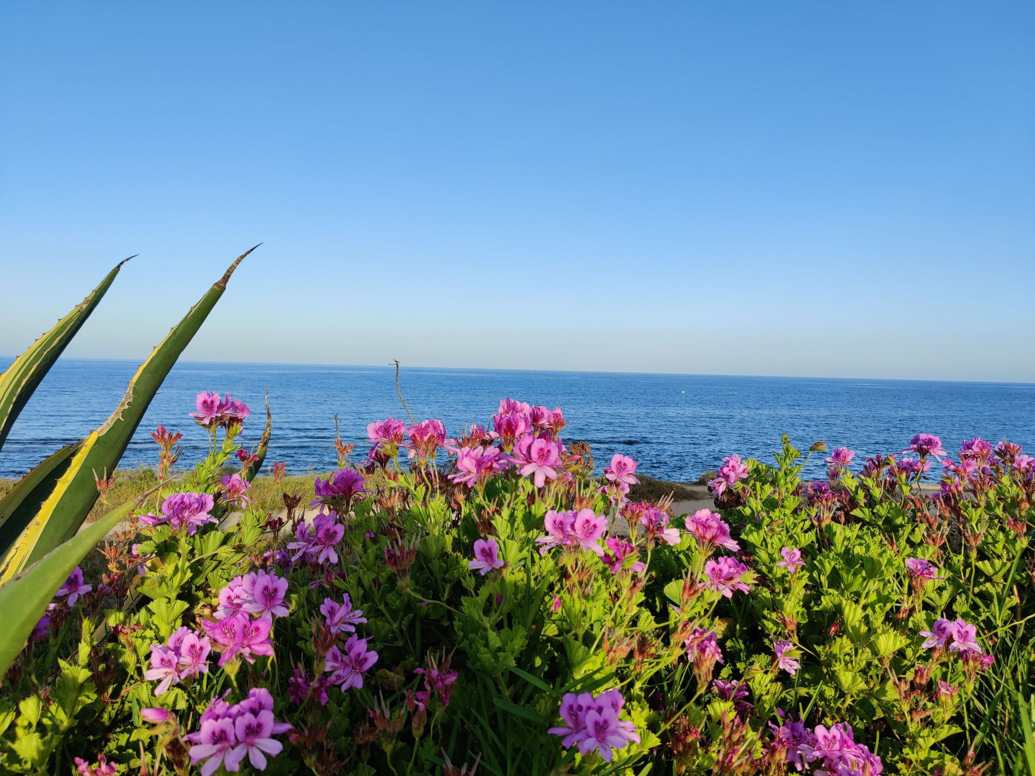 Vista al Mar - Traumhafter Meerblick-Image-tags.info