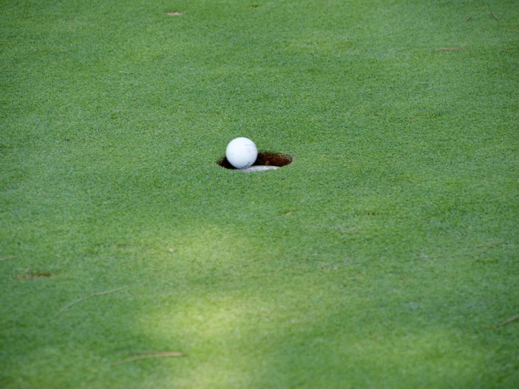 Appartement mit Dachterrasse und Balkon plus Gemeinschaftspool, in der Nähe von-Image-tags.info