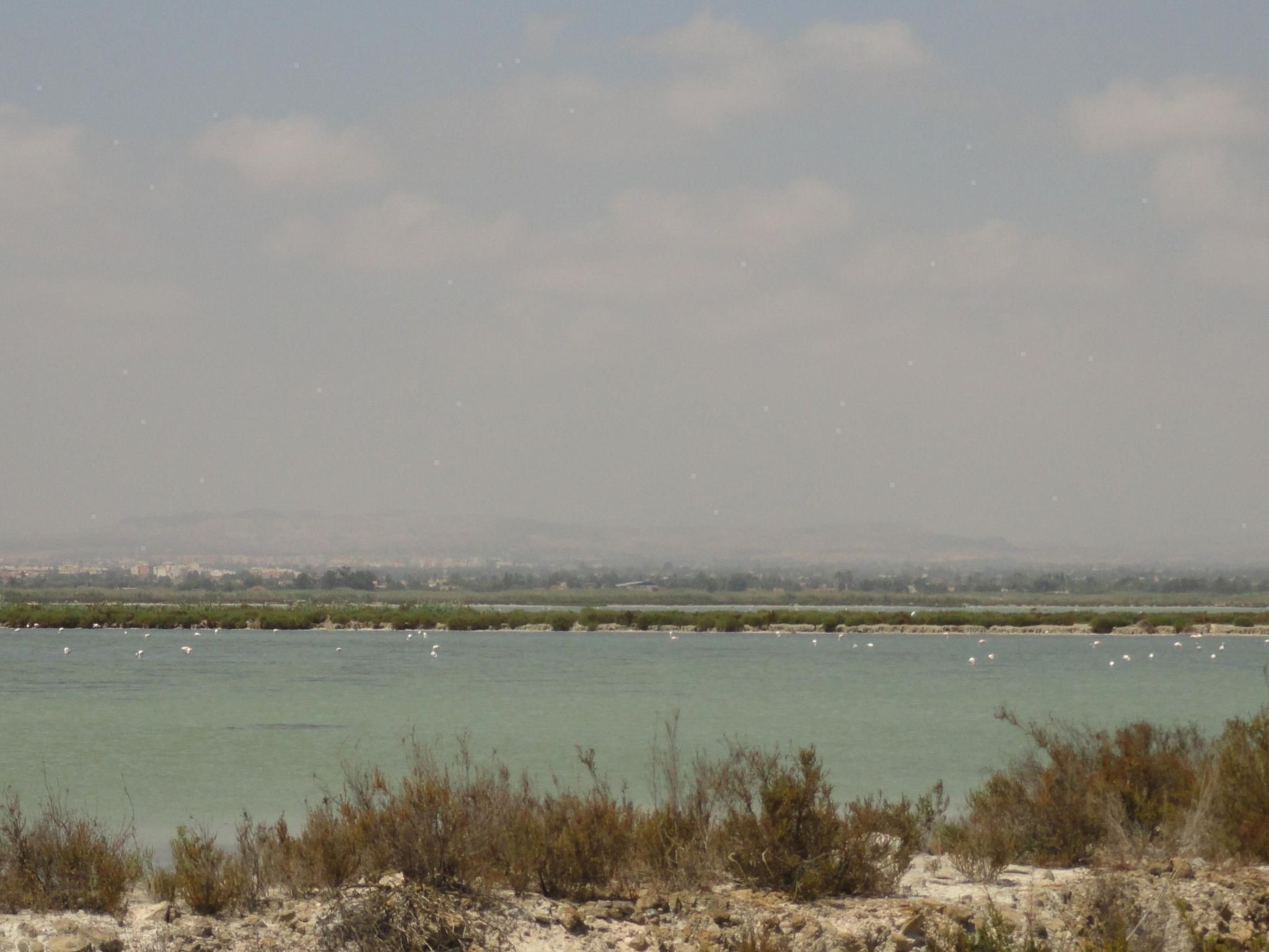 Appartement mit Dachterrasse und Balkon plus Gemeinschaftspool, in der Nähe von-Image-tags.info