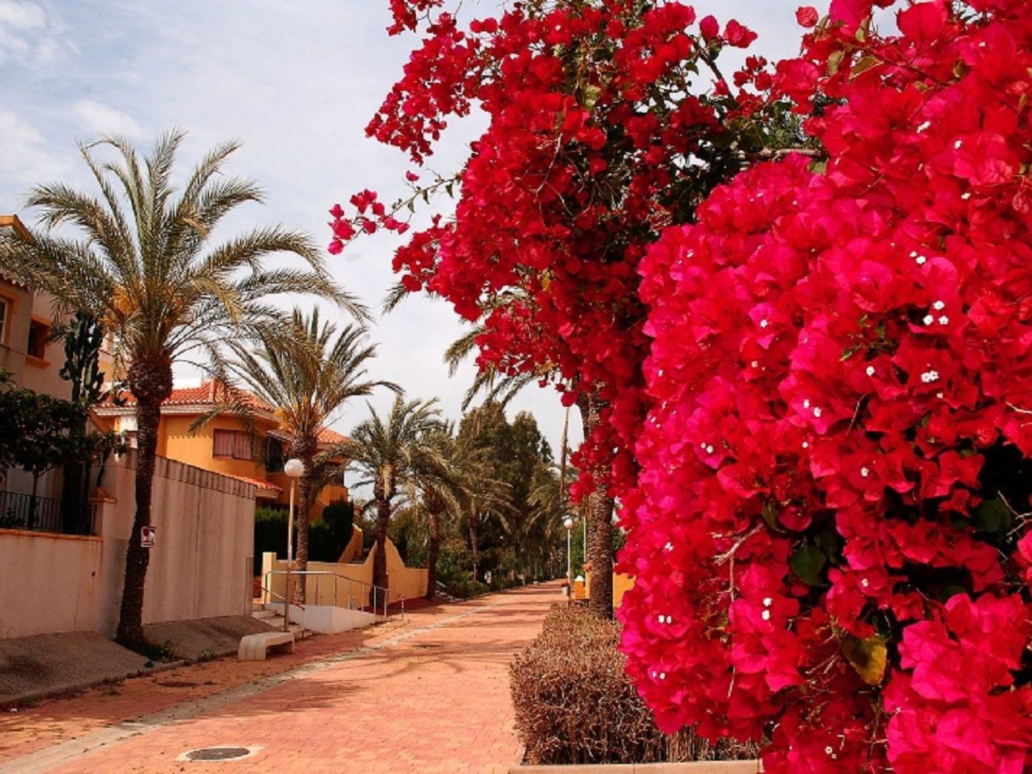 ADELFAS II - 11-Binnen