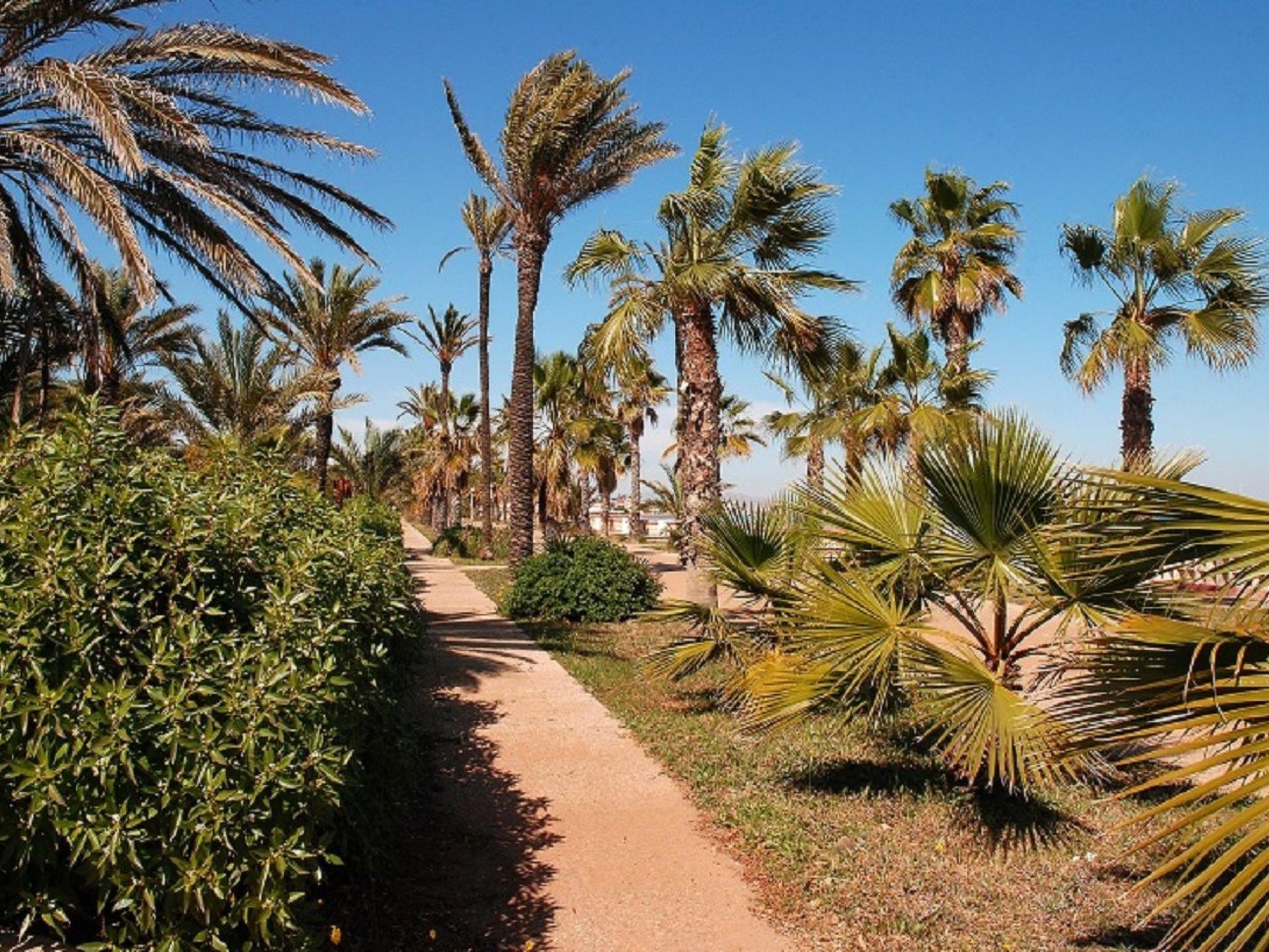 ADELFAS I - 12-Binnen