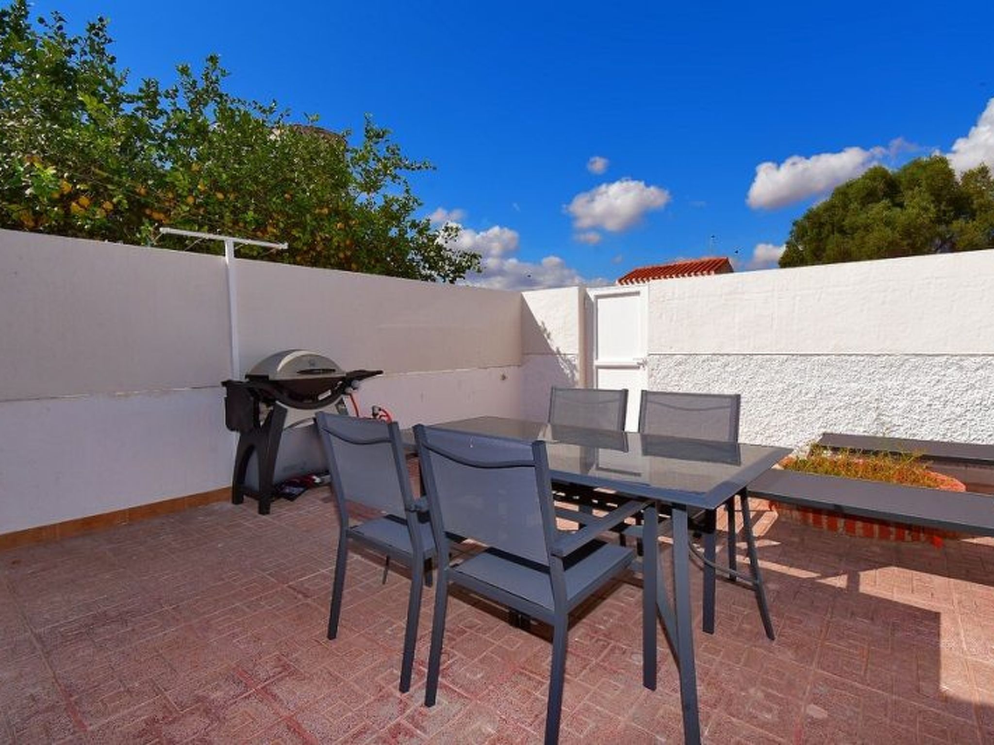 PALMERA 40-Image-tags.info