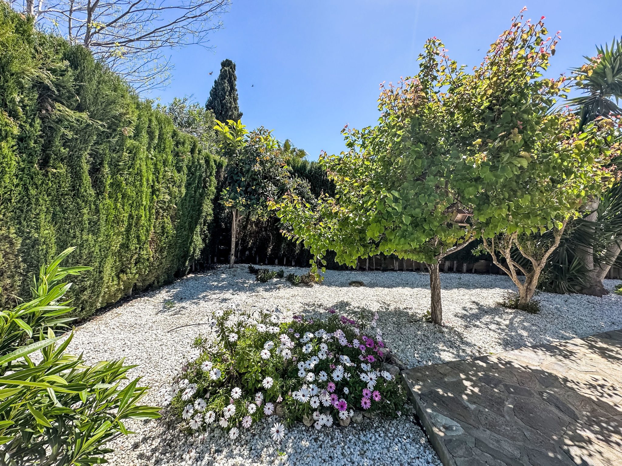 Villa Esmeralda - Draußen